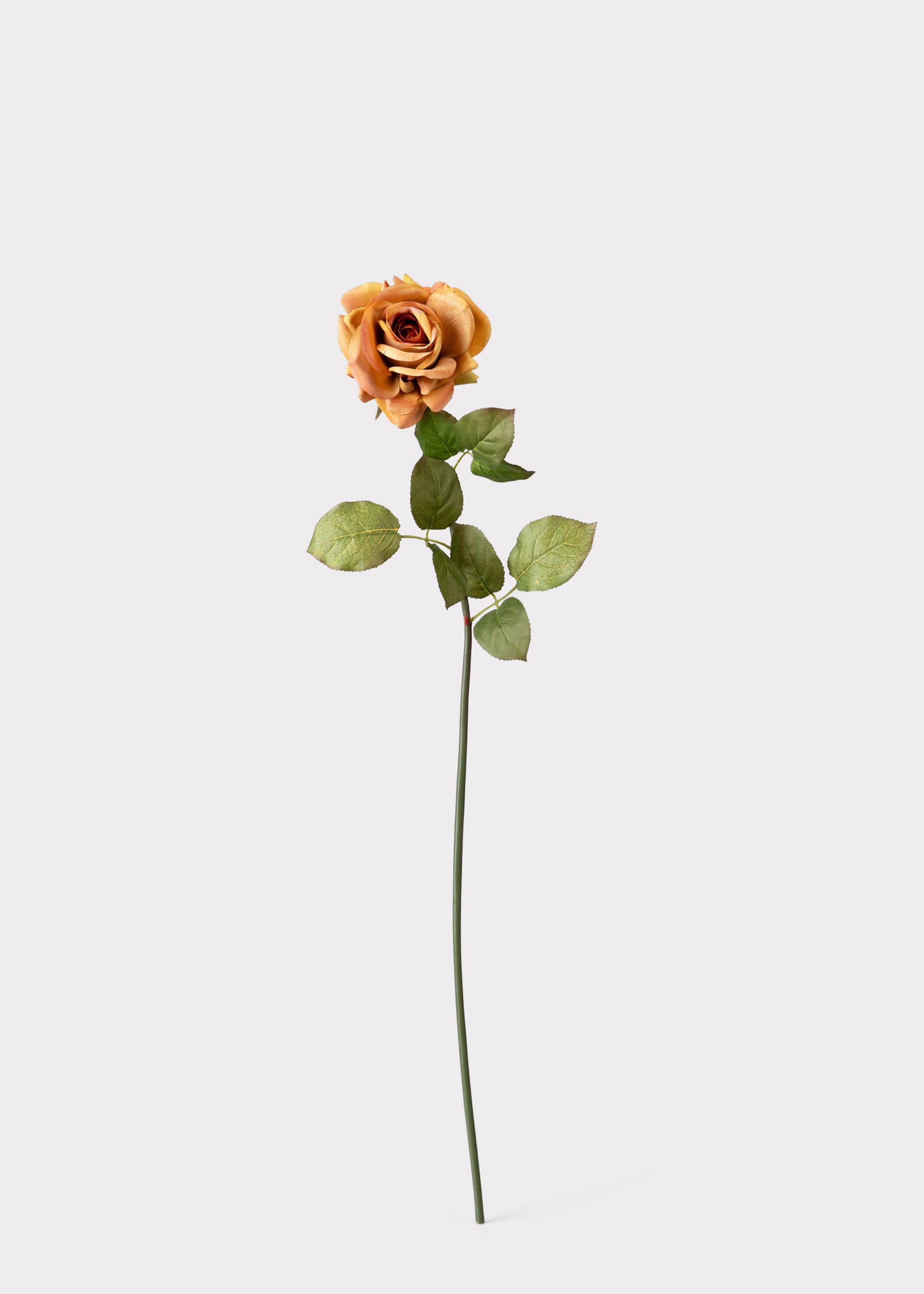 Autumn Orange Real Touch Rose