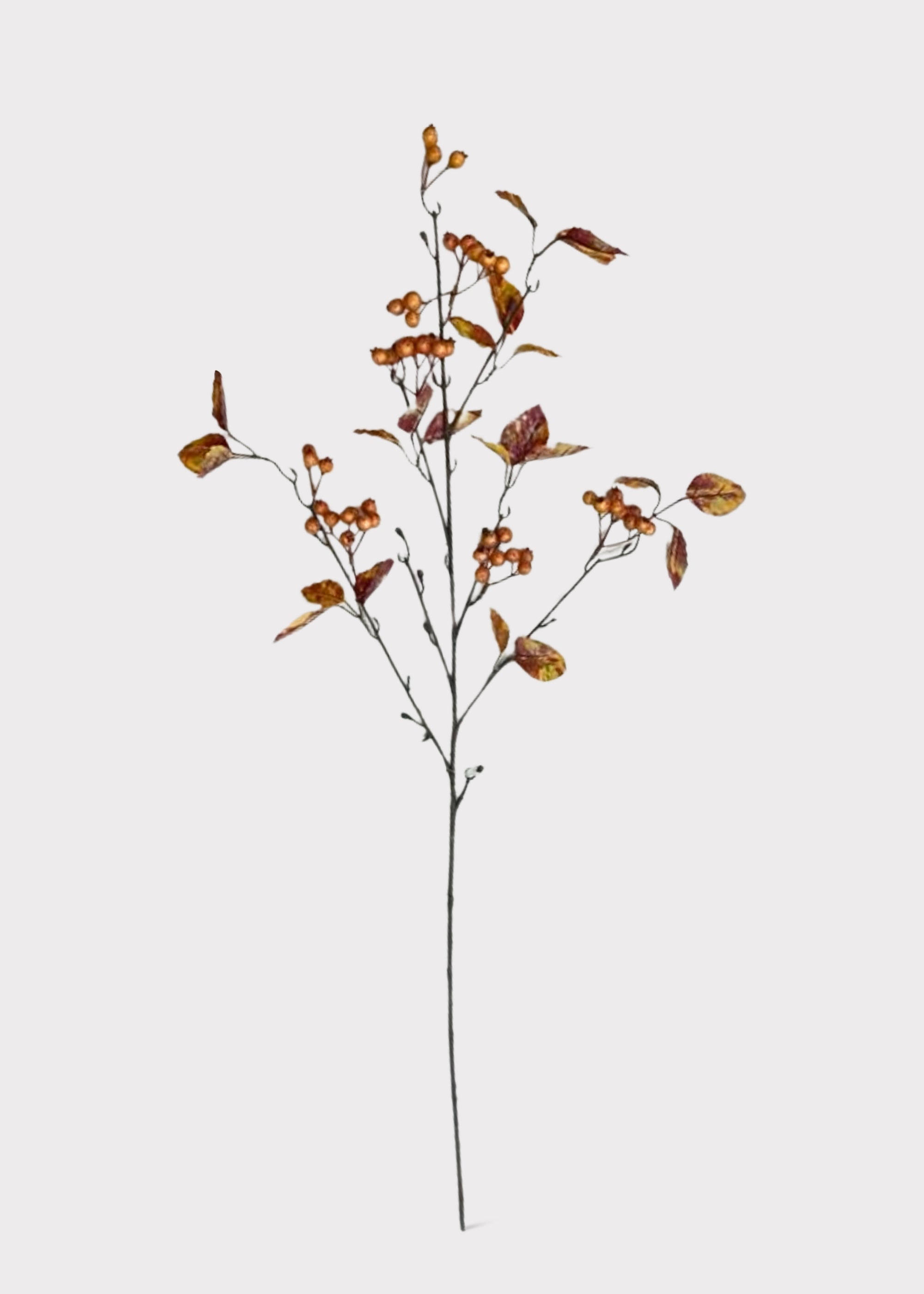 Rosehip Berry Pod and Leaf Branch
