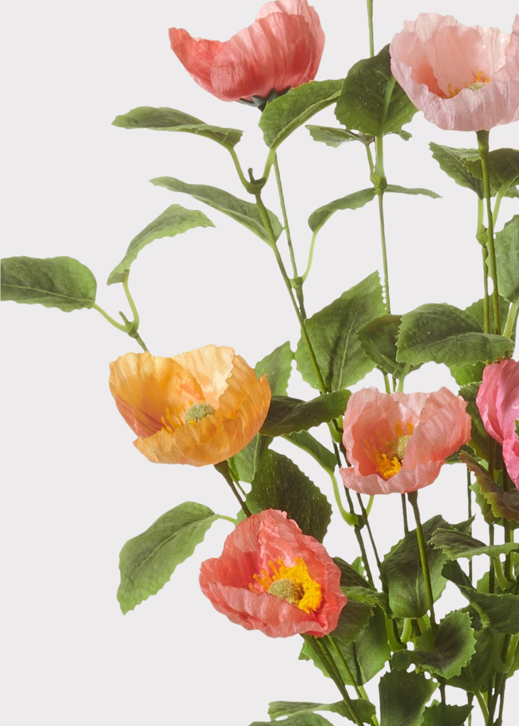 Close-up of pink and coral fake poppy bush