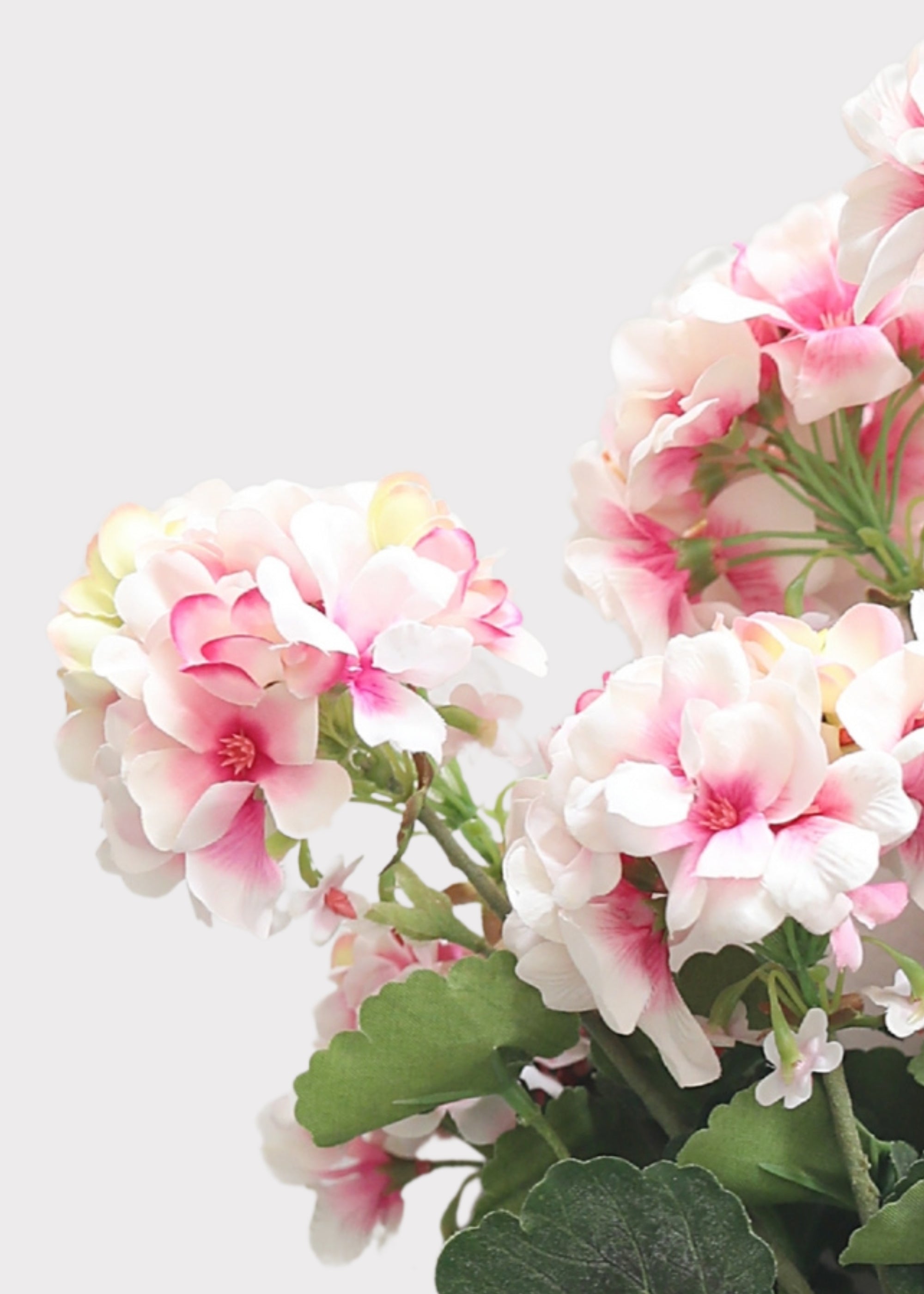 Close-up of a Fake Pink Geranium Bush