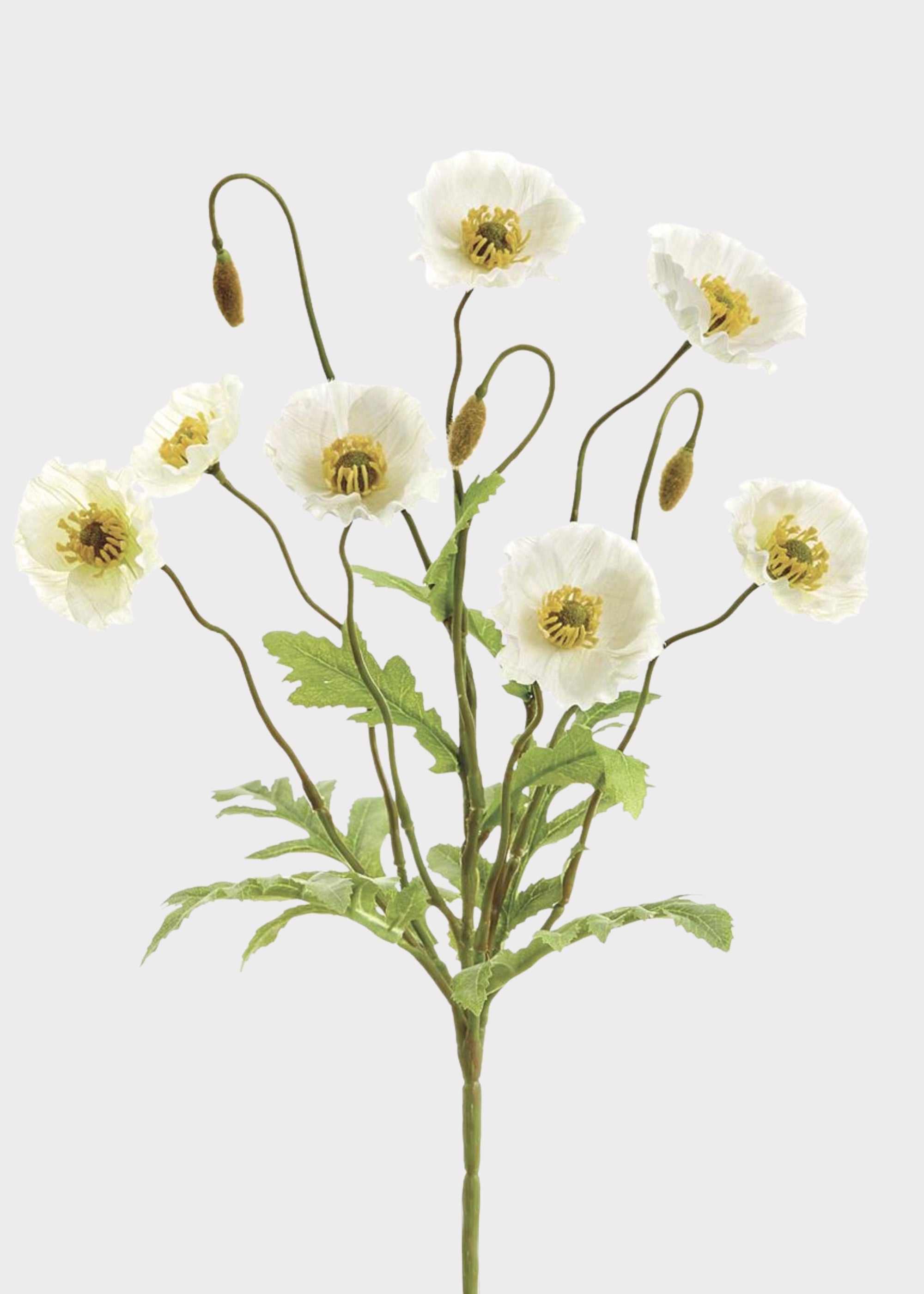 Faux Flowers Poppy Bush in Cream