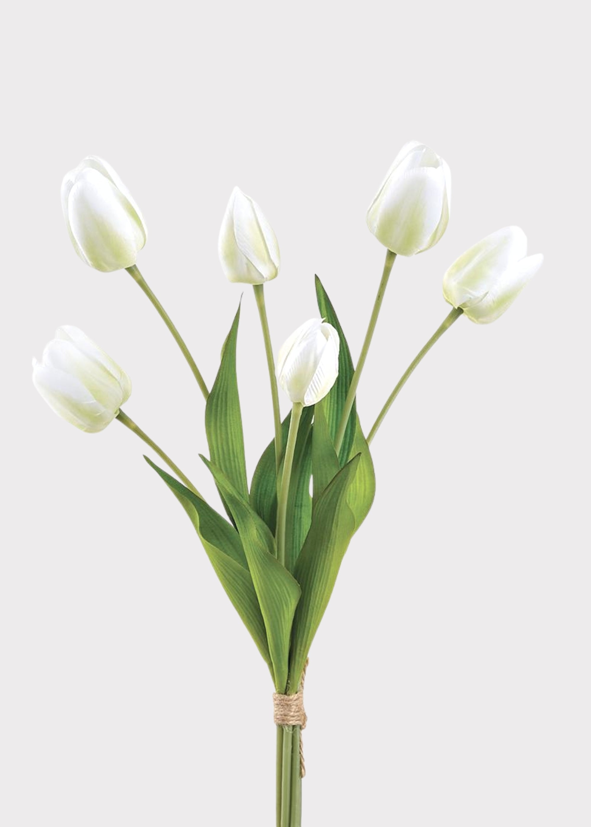 Bouquet of white tulips