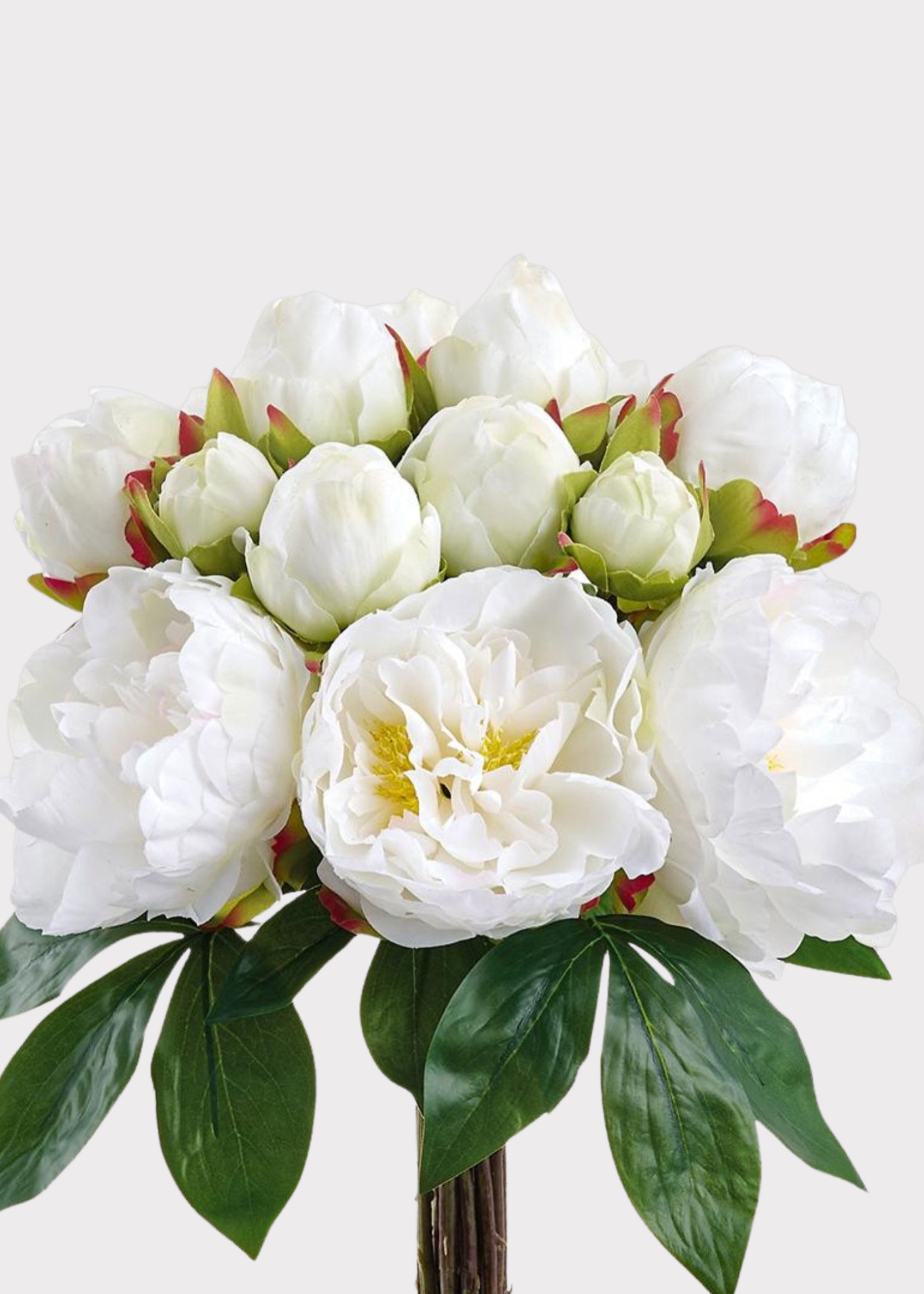 Close-up of a White Peony Bouquet