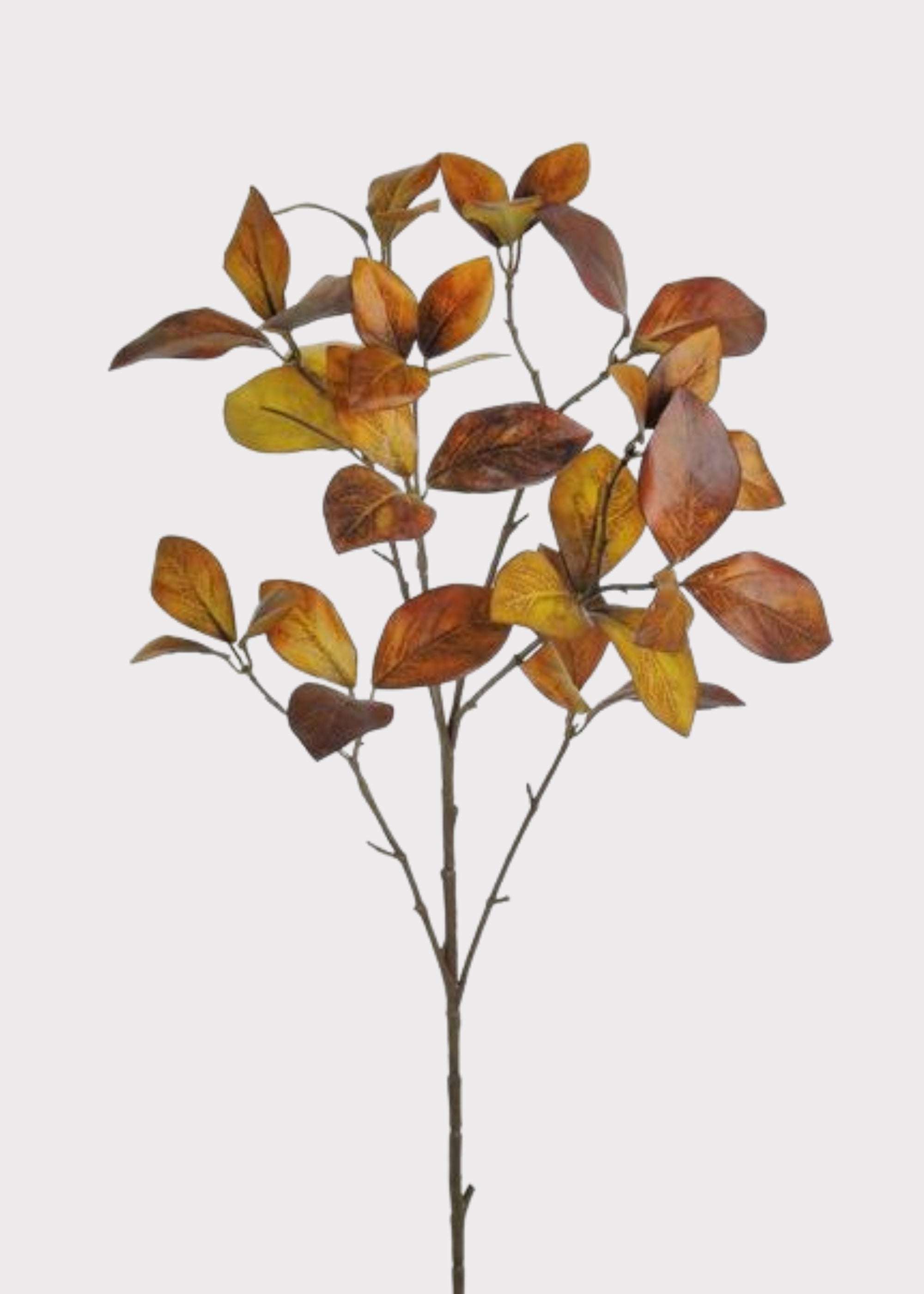 Fake Enkianthus Leaf Branch