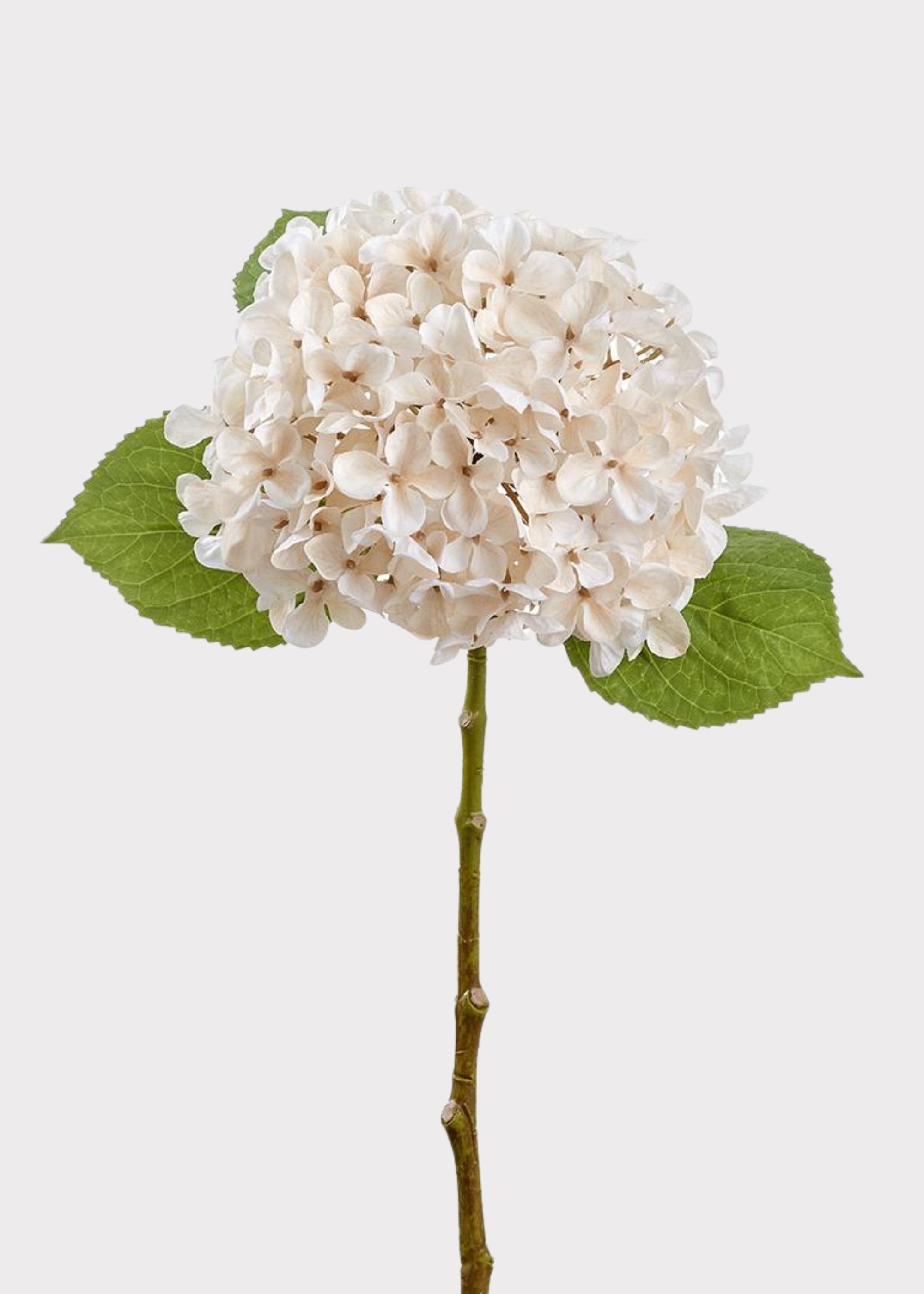 Ivory Cream Fake Hydrangea
