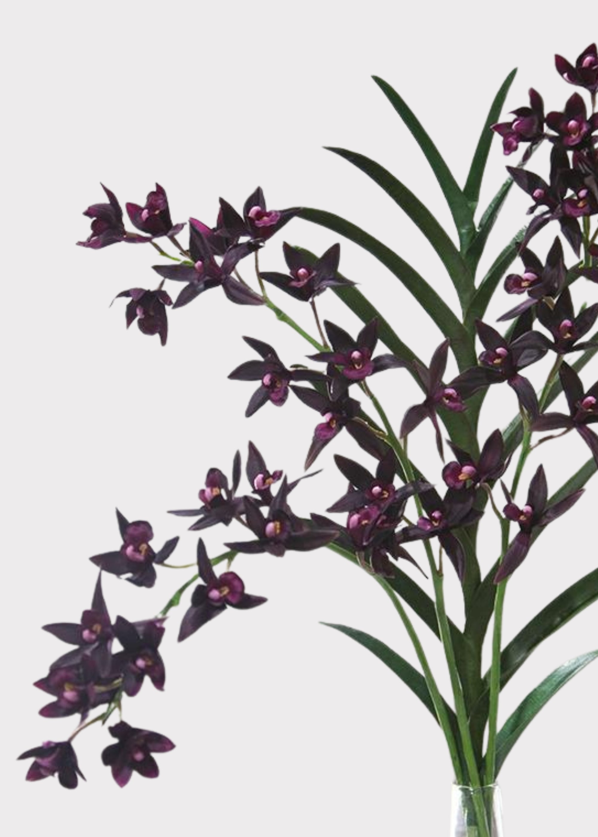 Artificial purple orchids
