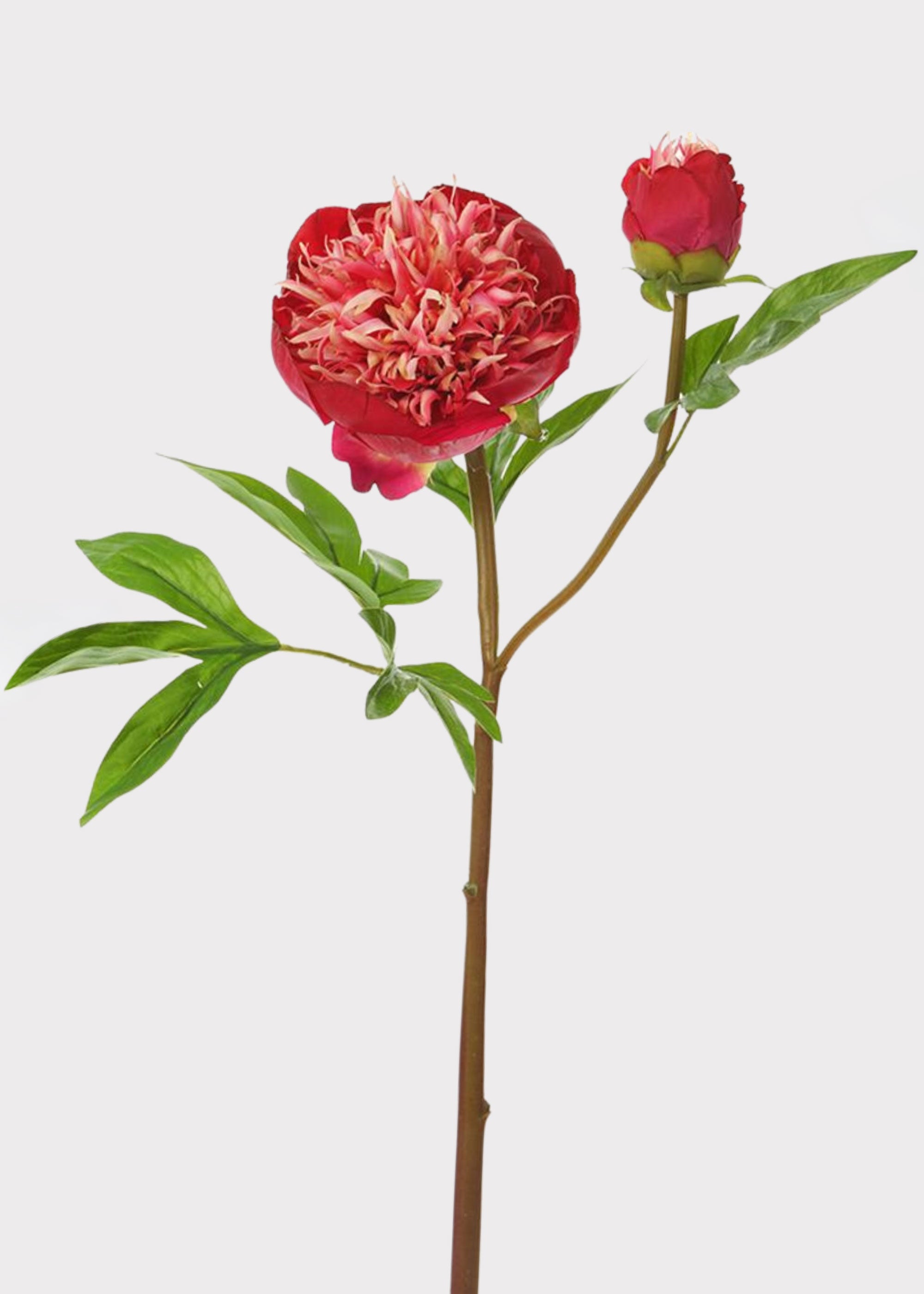 Red and Cream Fake Real Touch Peony with Bud