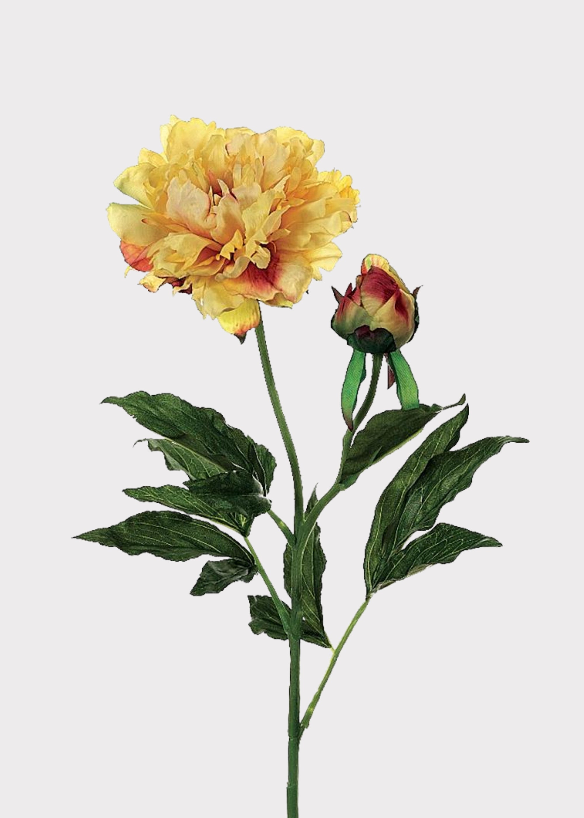 Fake Peony in Yellow