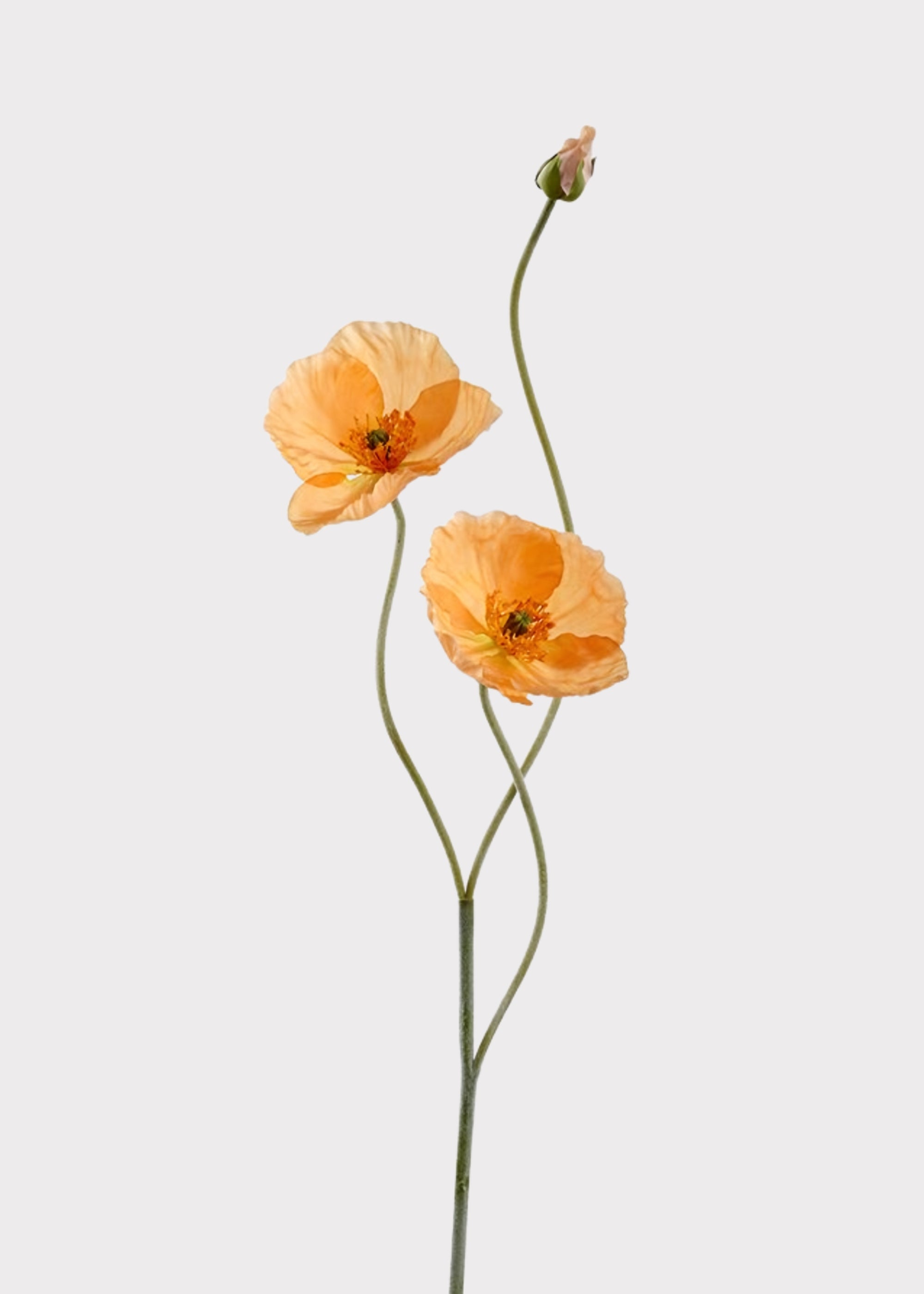 Artificial Poppy in Coral