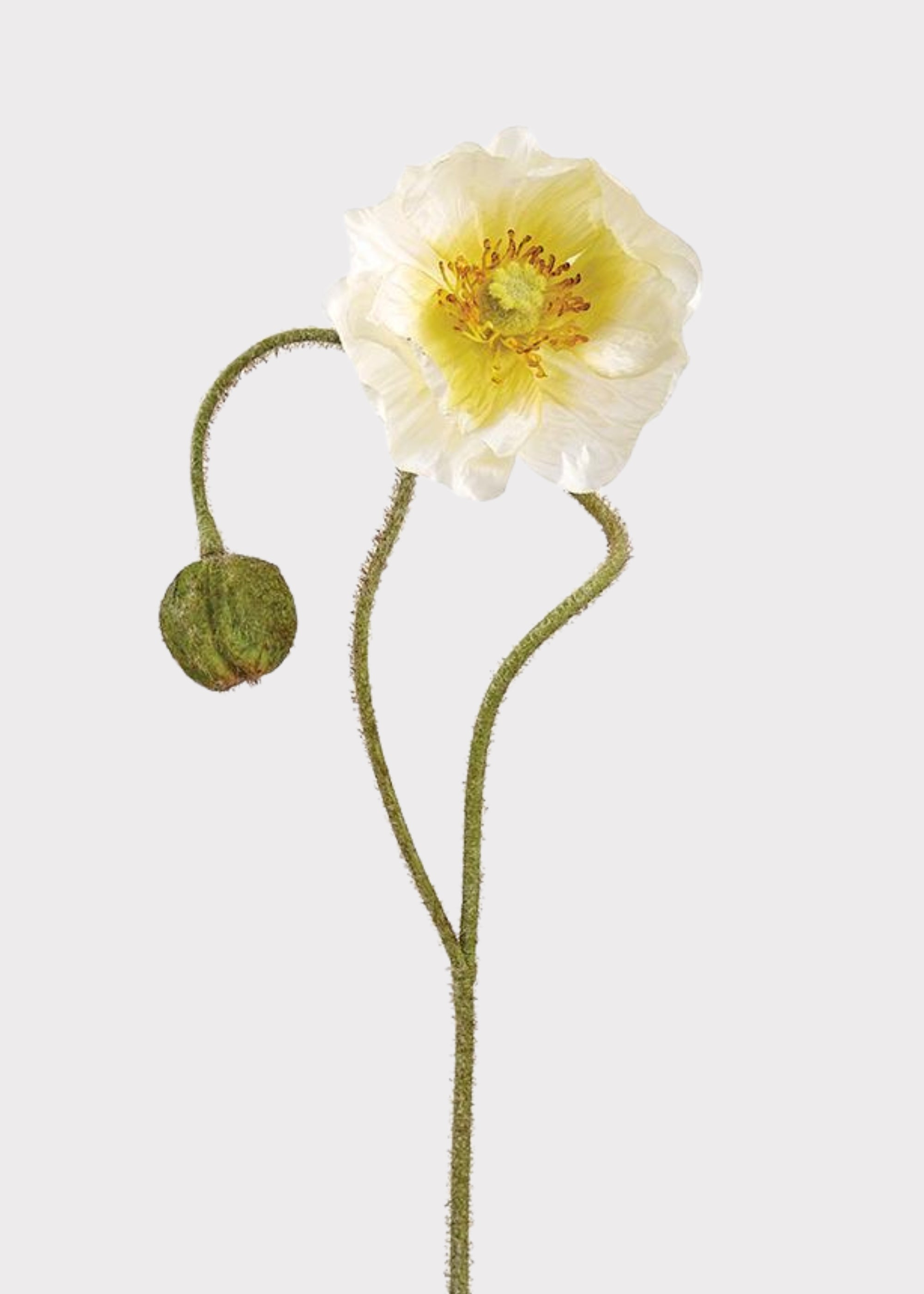 Cream artificial poppy flower stem with lifelike petals and bud