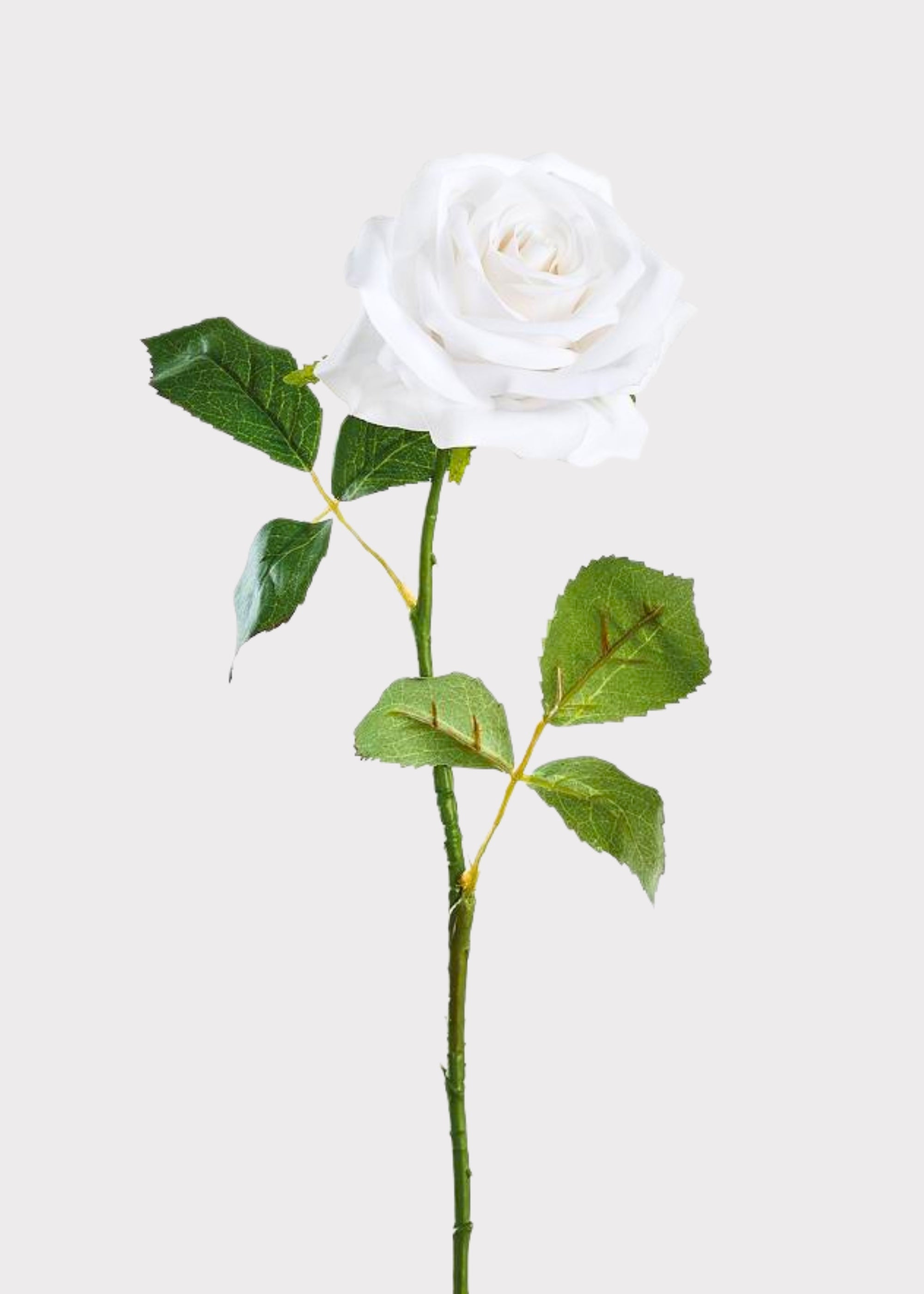 Real Touch Rose in Cream White
