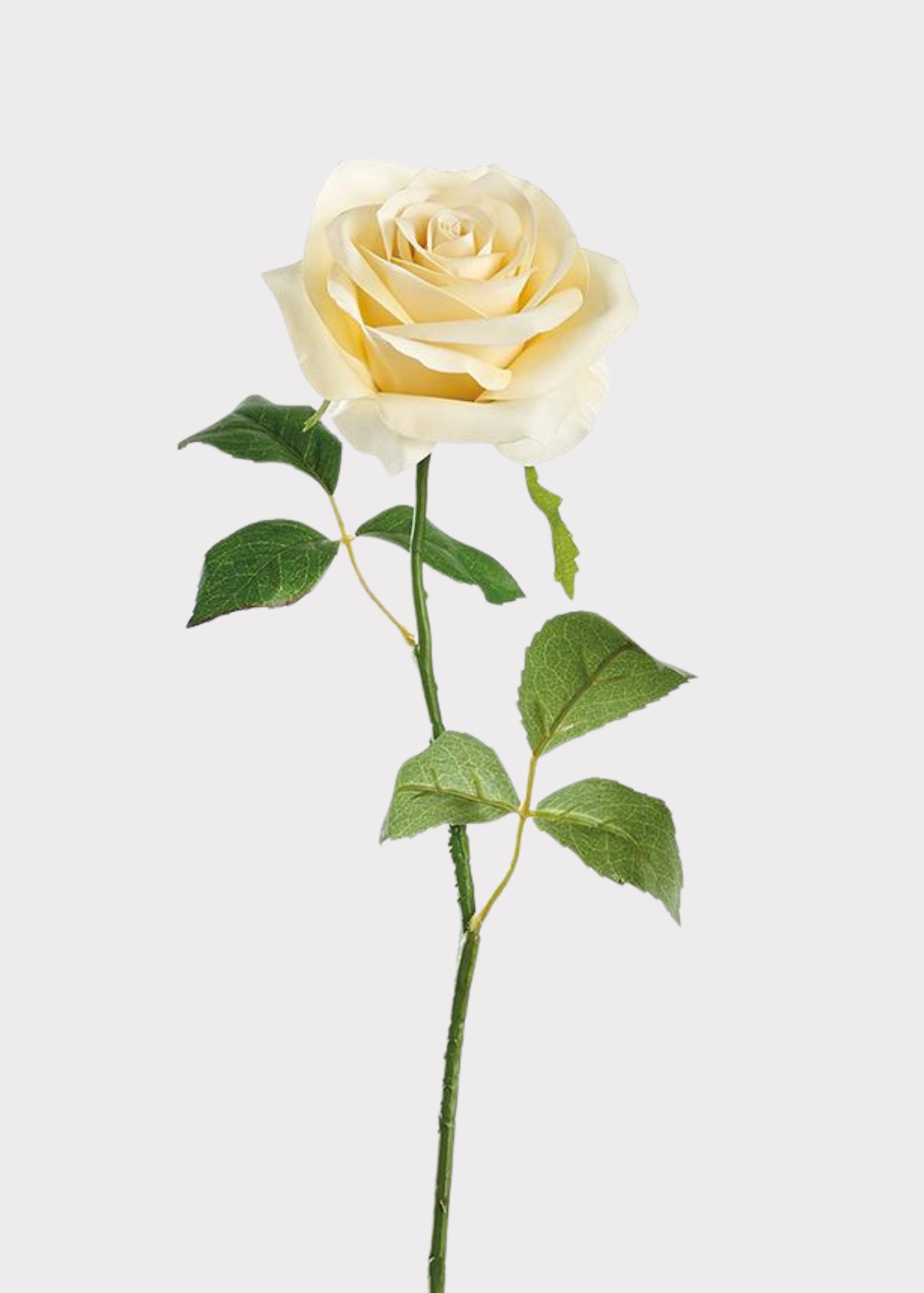 Real Touch Rose in Yellow