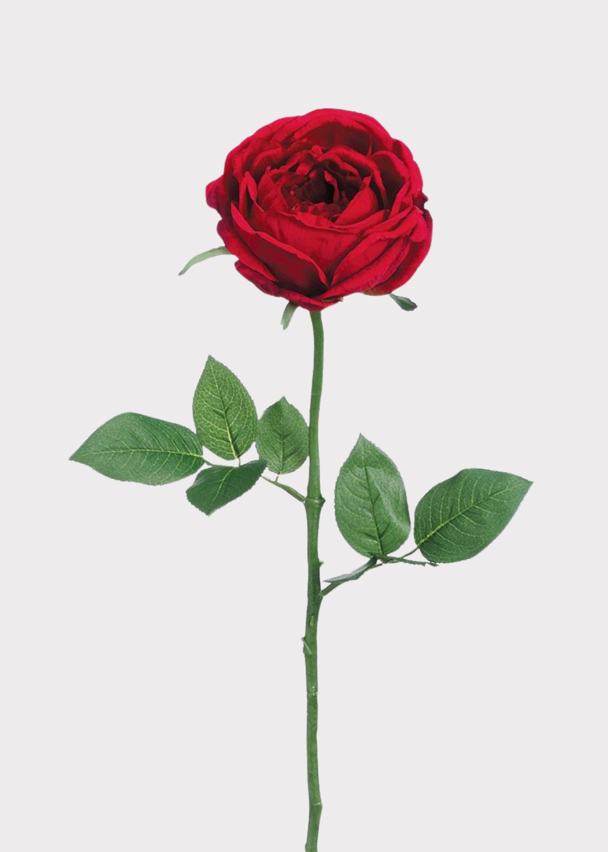 Red Artificial Garden Cabbage Rose