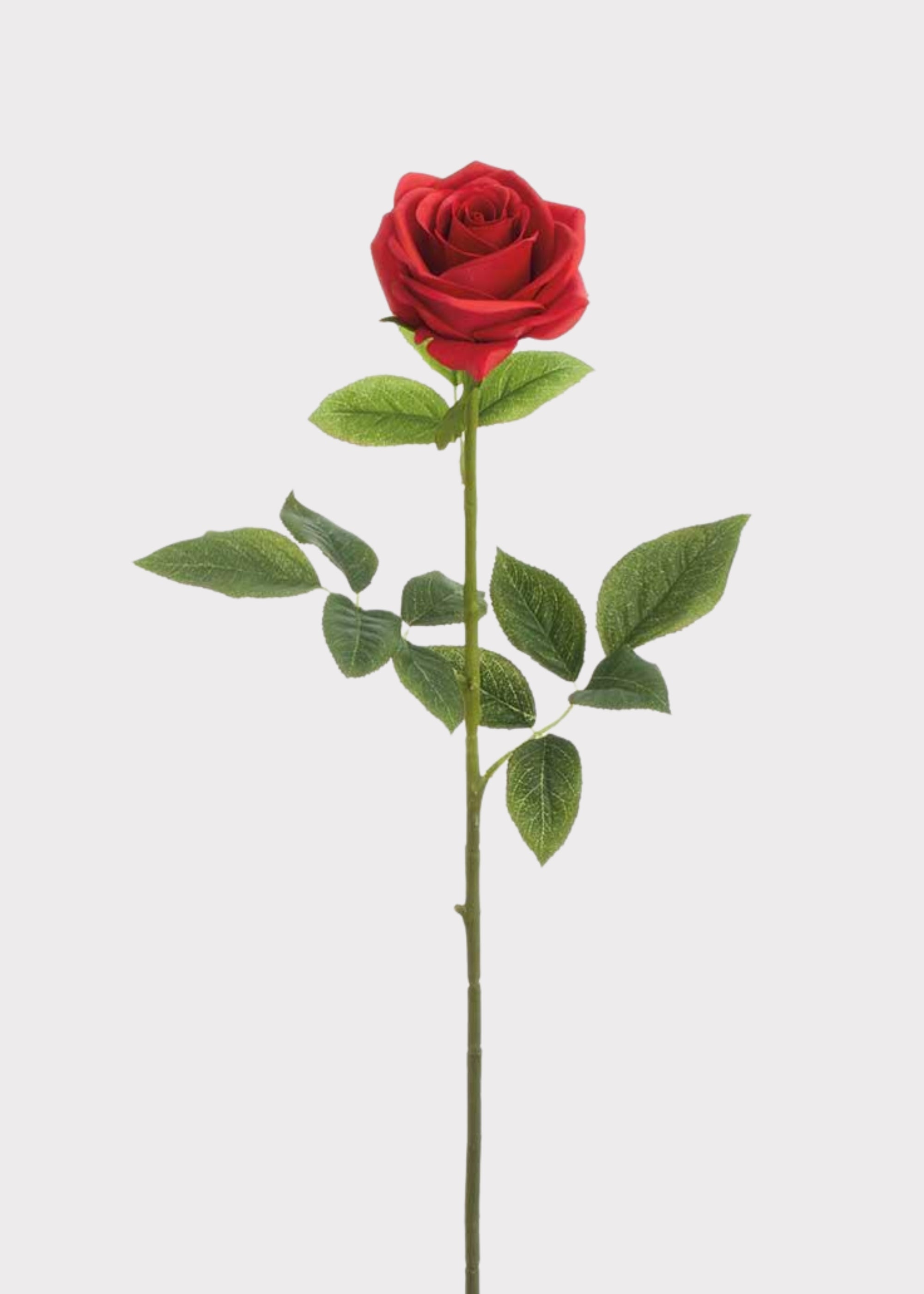 Red Real Touch Rose