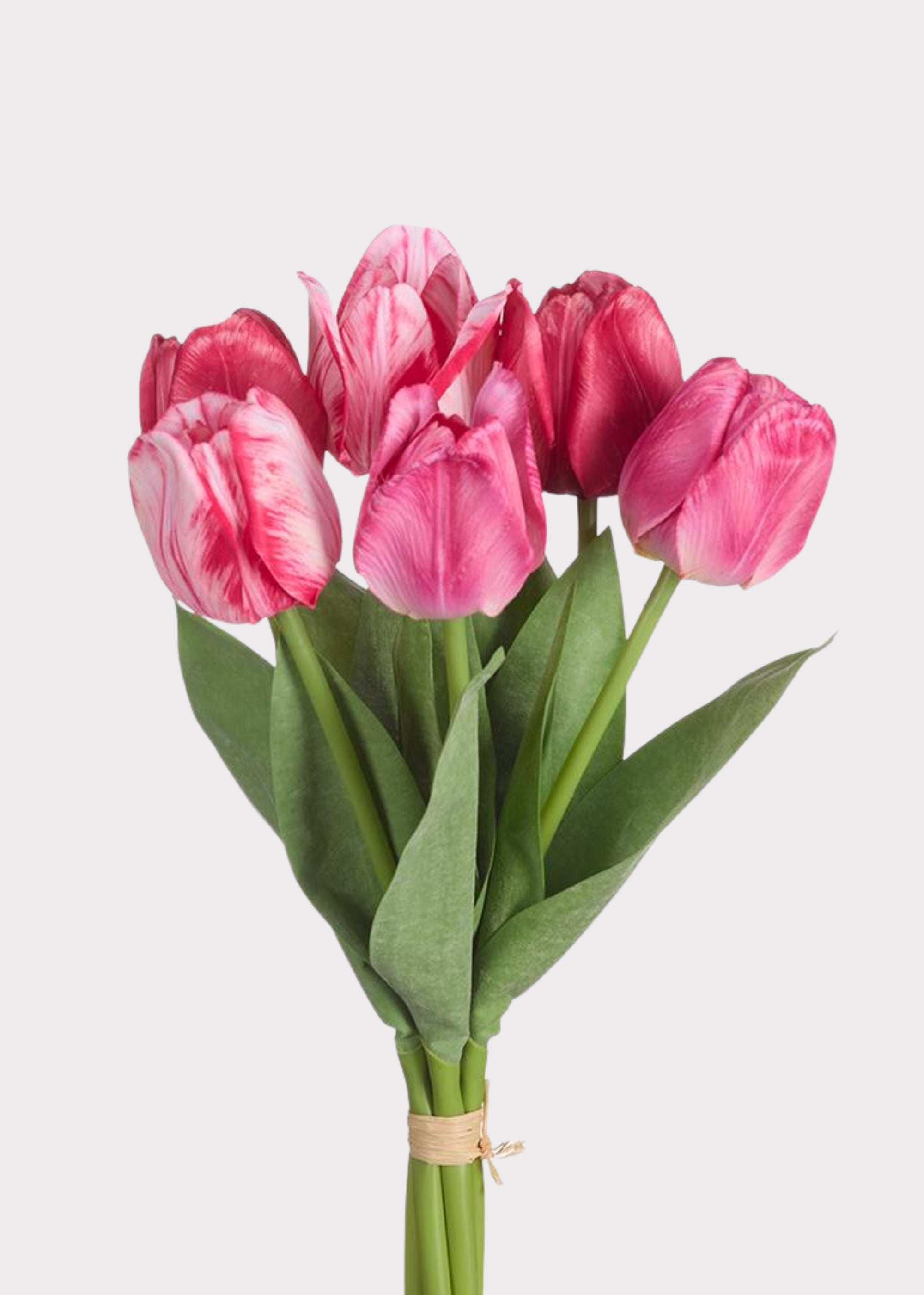 Bouquet of pink tulips