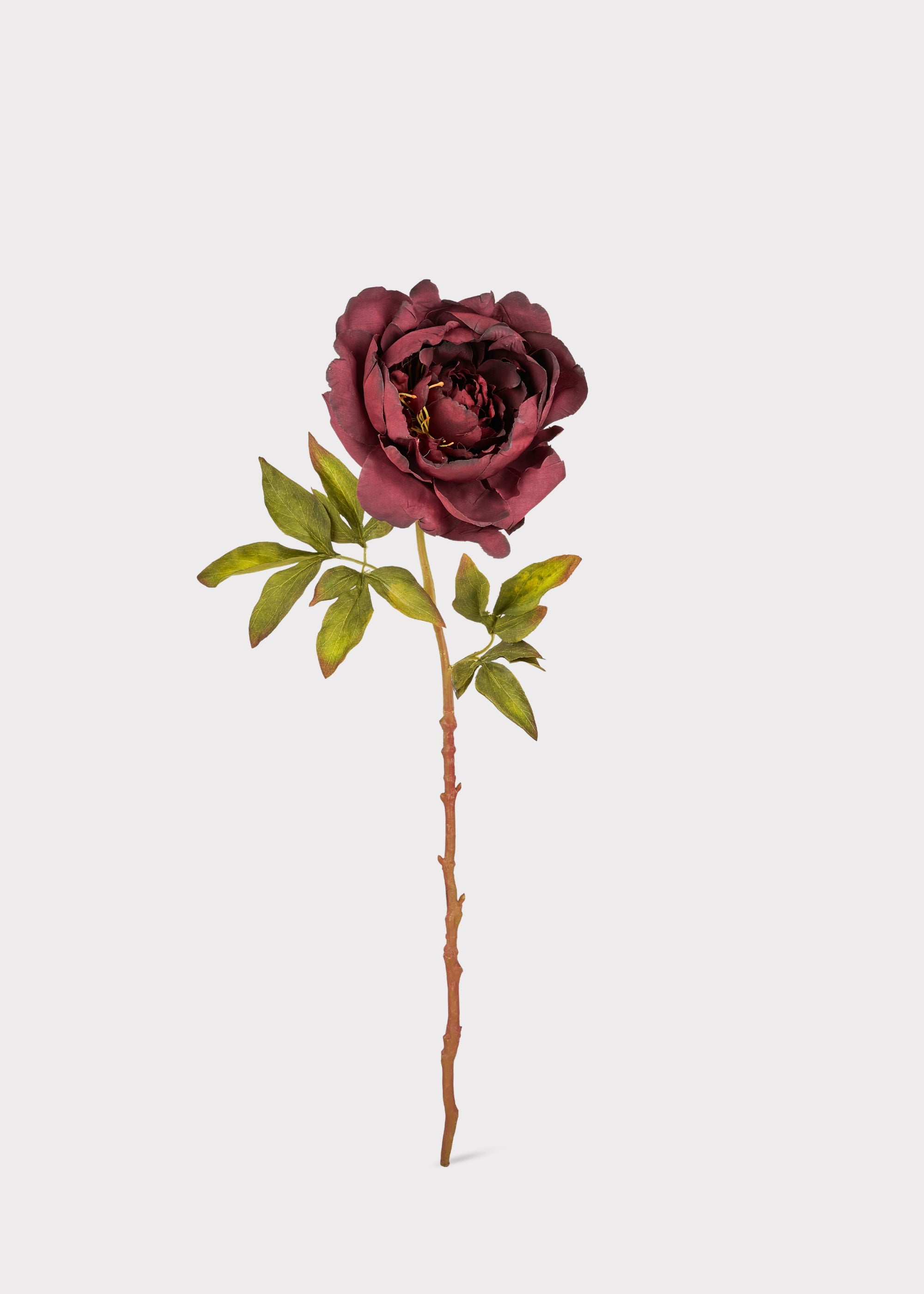 Smokey Plum Purple Fake Peony