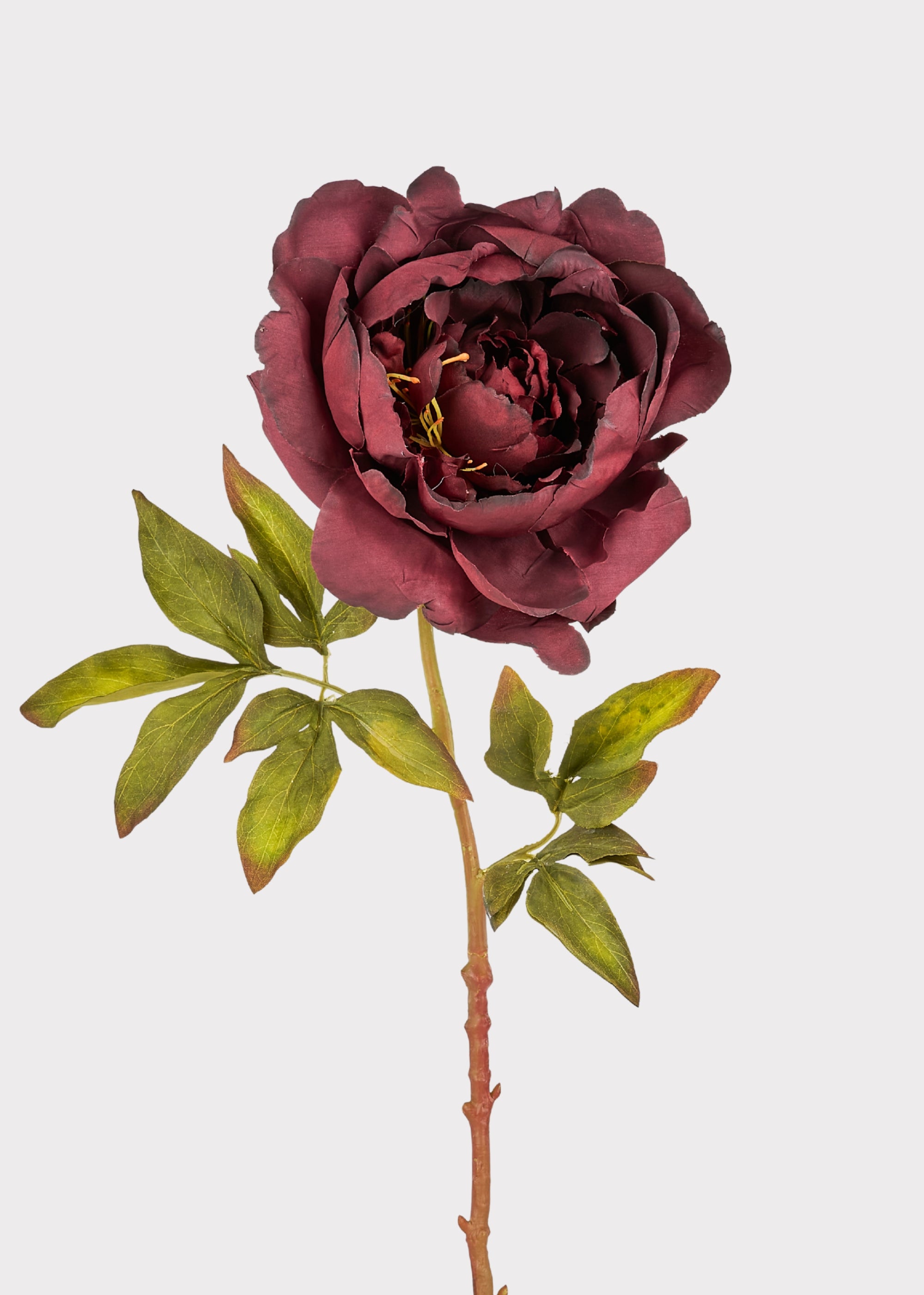 Plum Purple Fake Peony