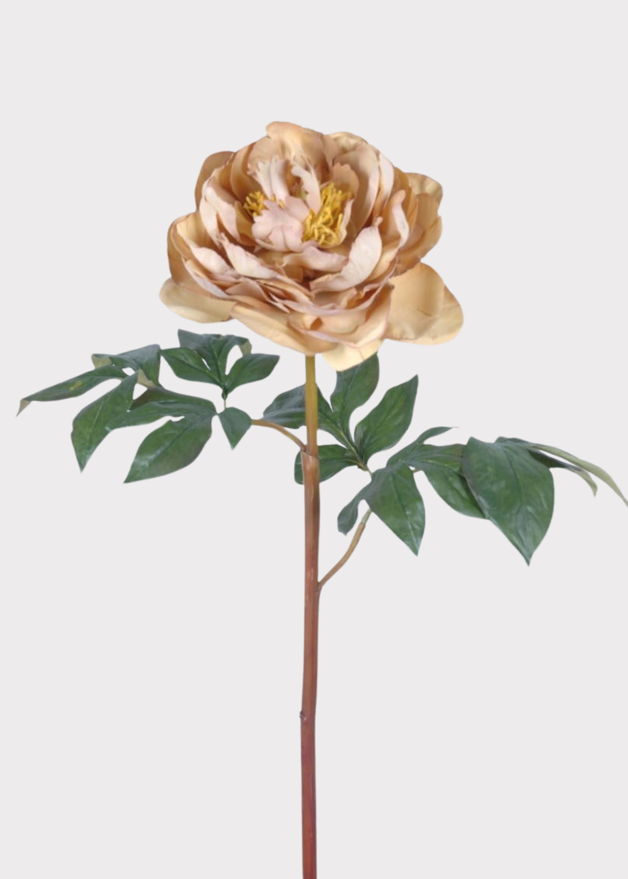 Faux Peony in Fawn