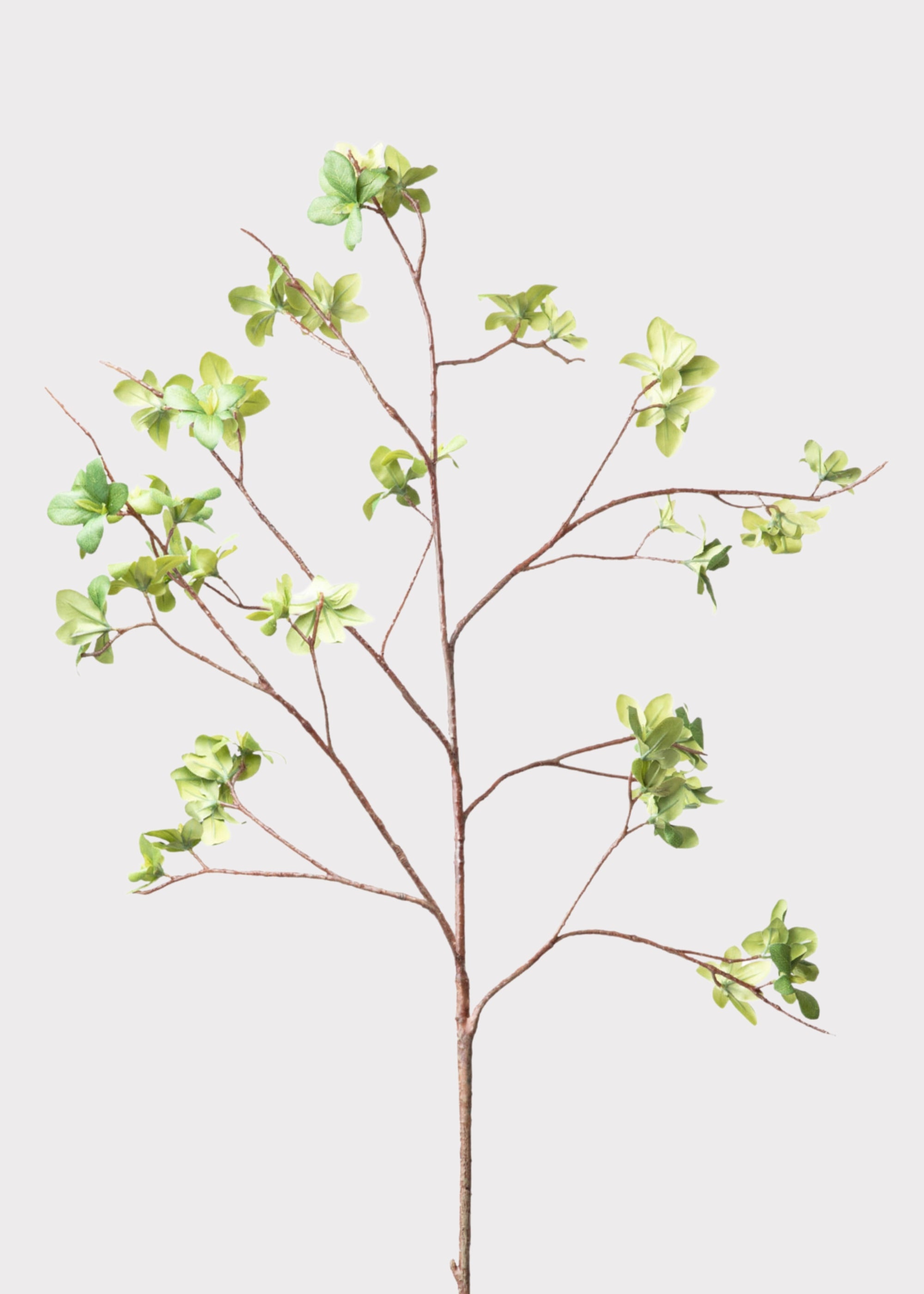 Tall Artificial Young Leaf Branch