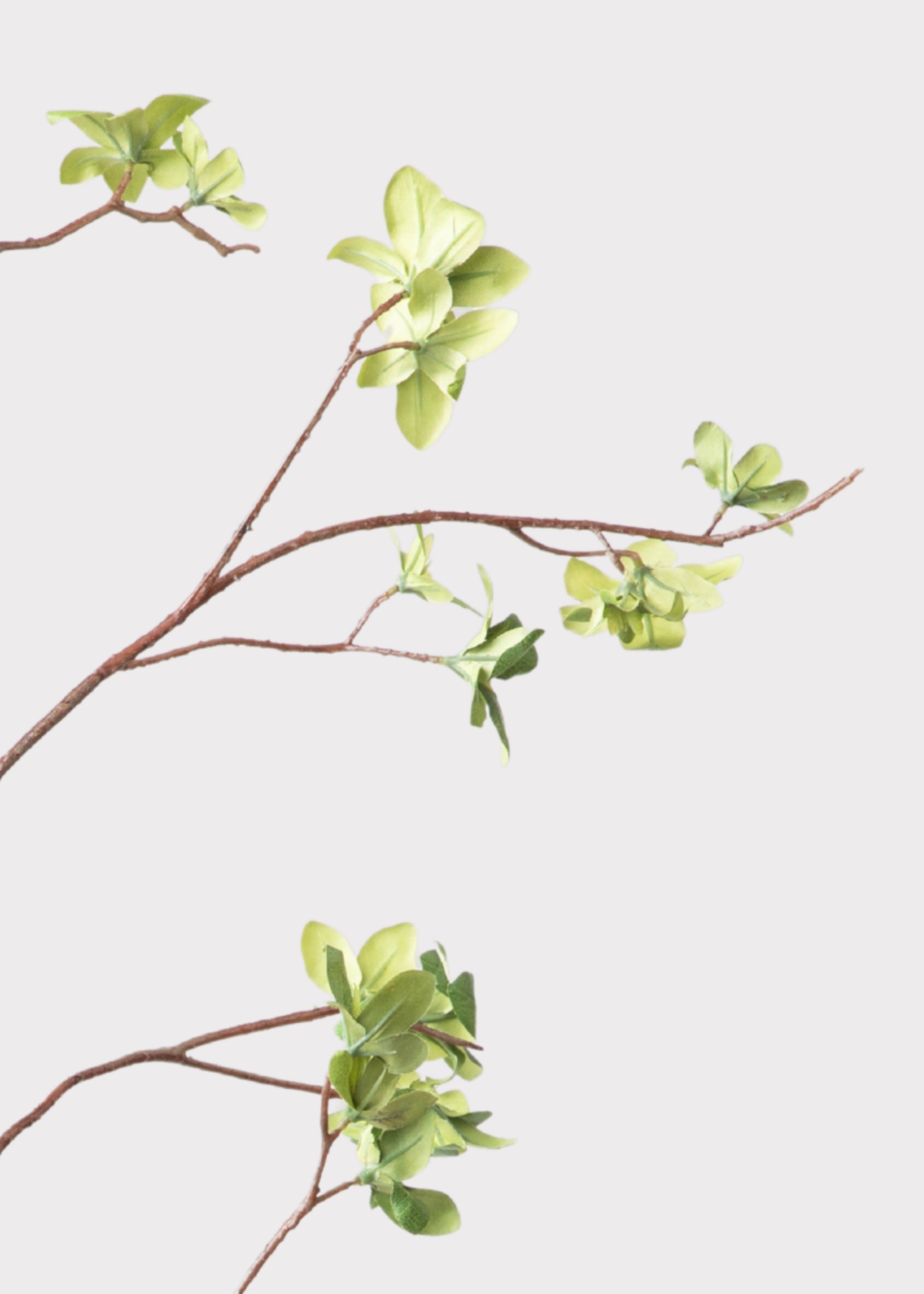 Close-up of an artificial Young Leaf Branch