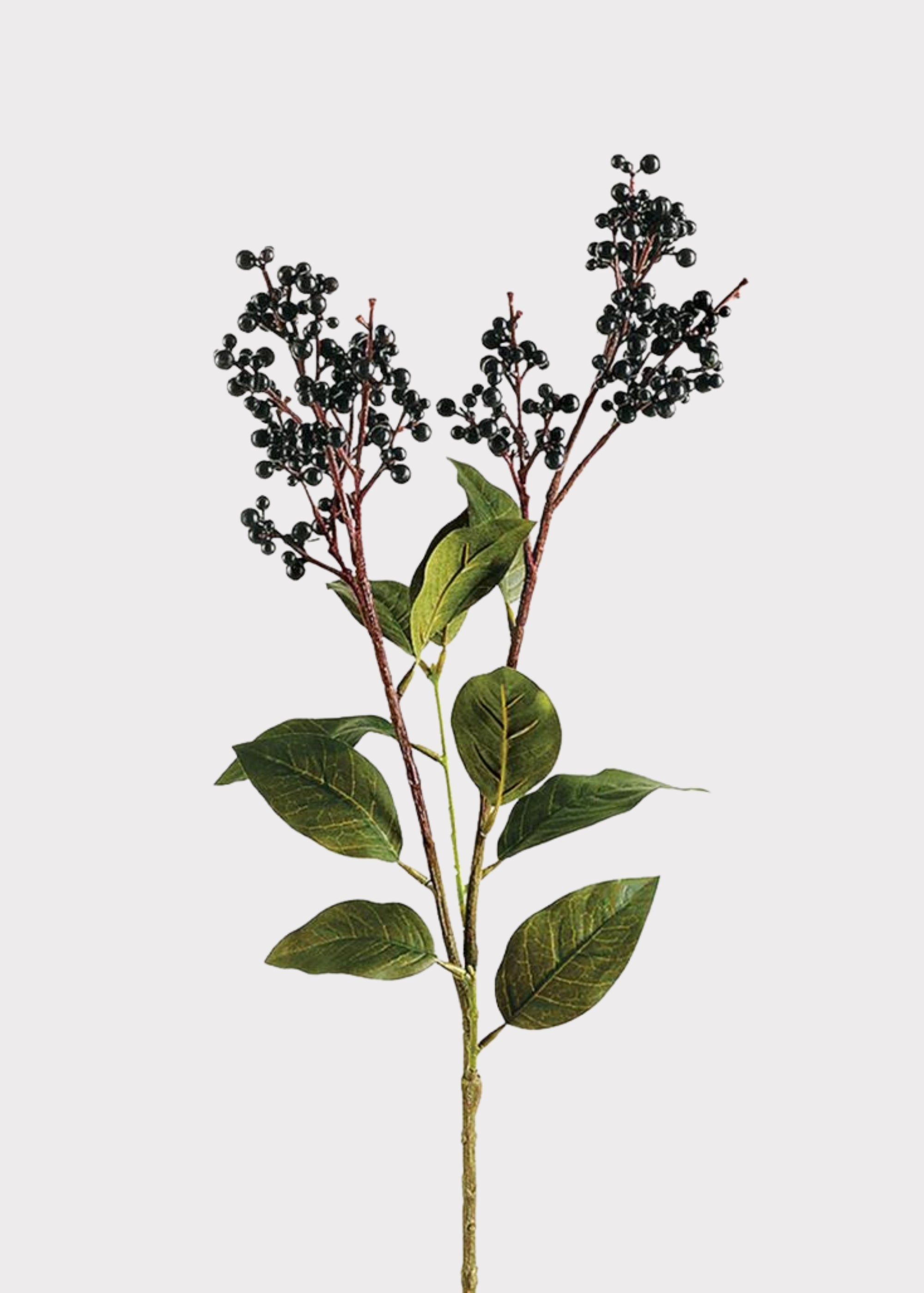 Fake Berries Lacoste Berry Branch in Black