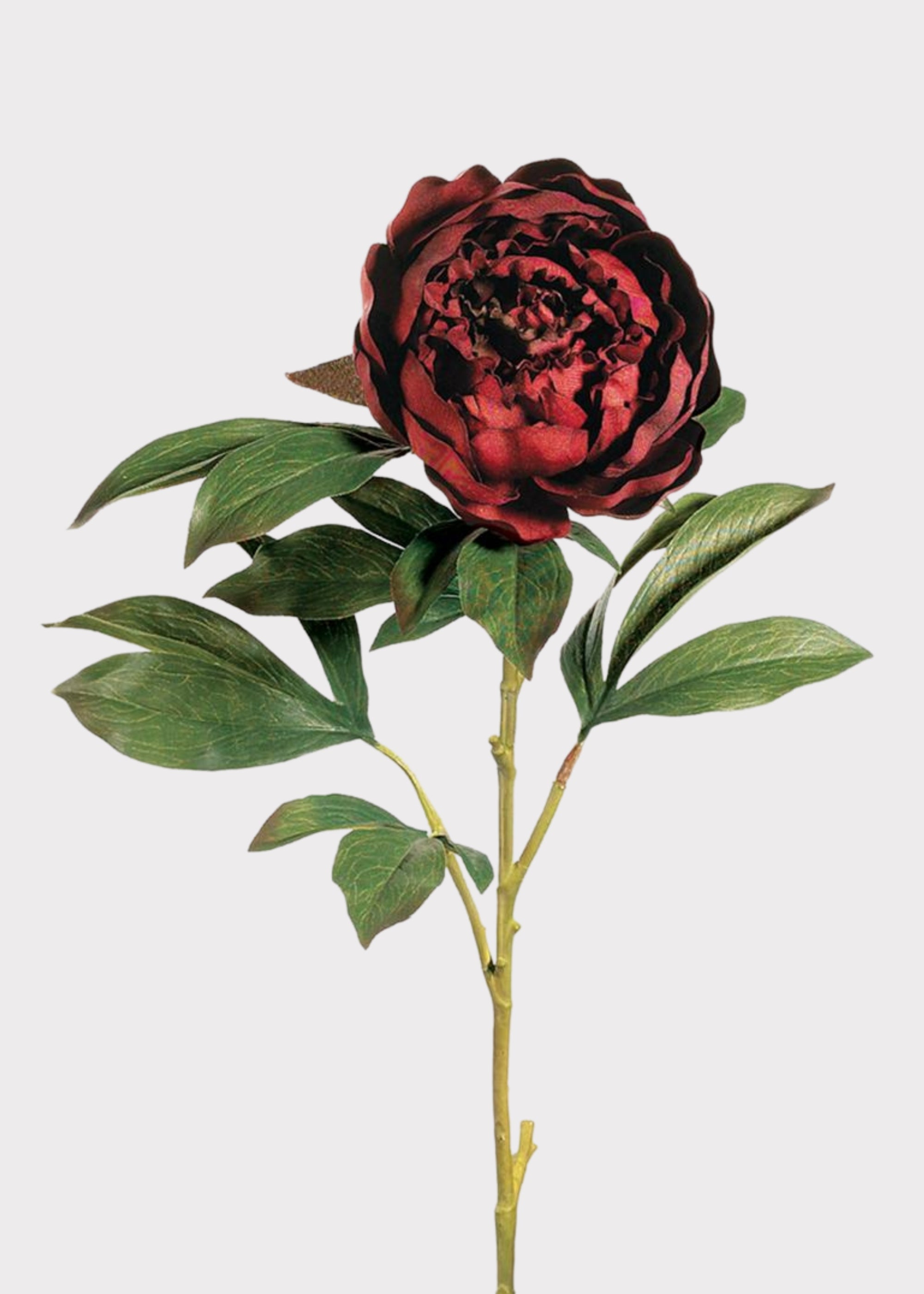Fake Peony Flower in Burgundy