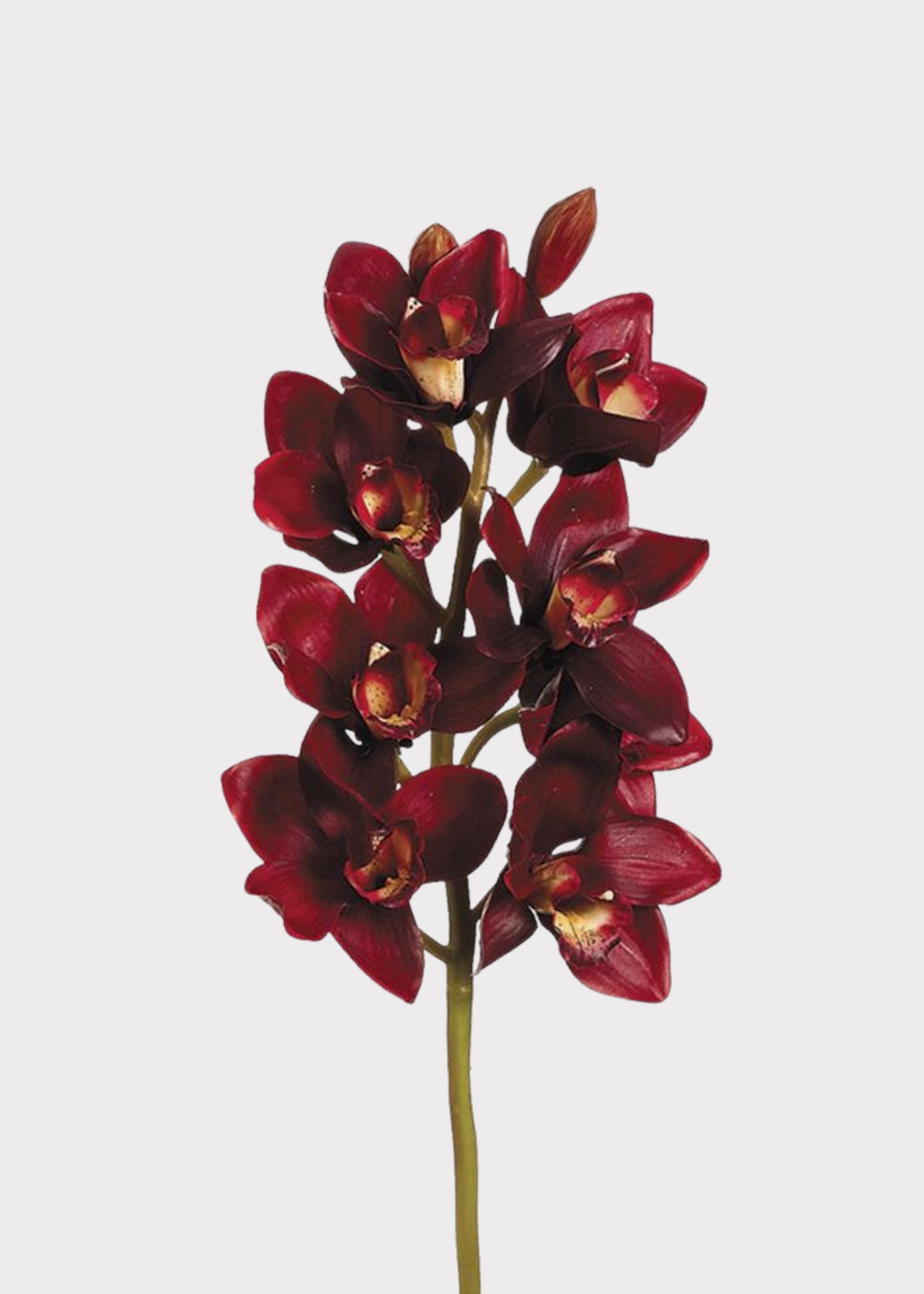 Burgundy Red Fake Cymbidium Orchid Flowers