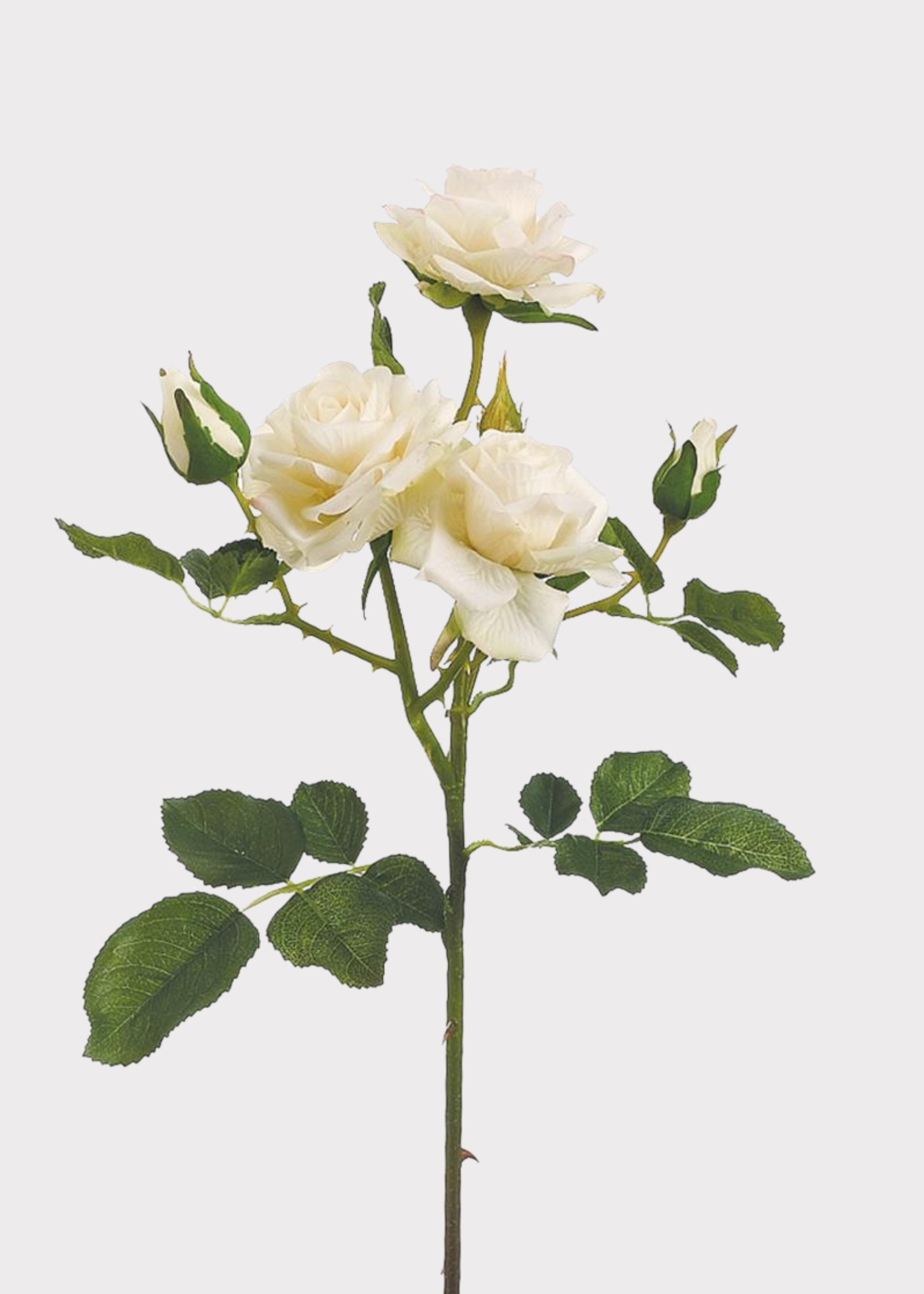 Fake Cream Roses