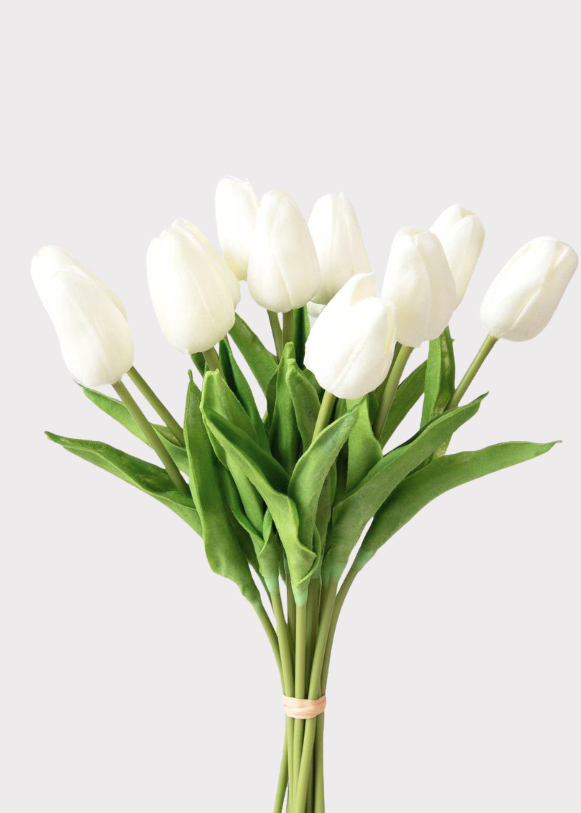 Bouquet of white tulips