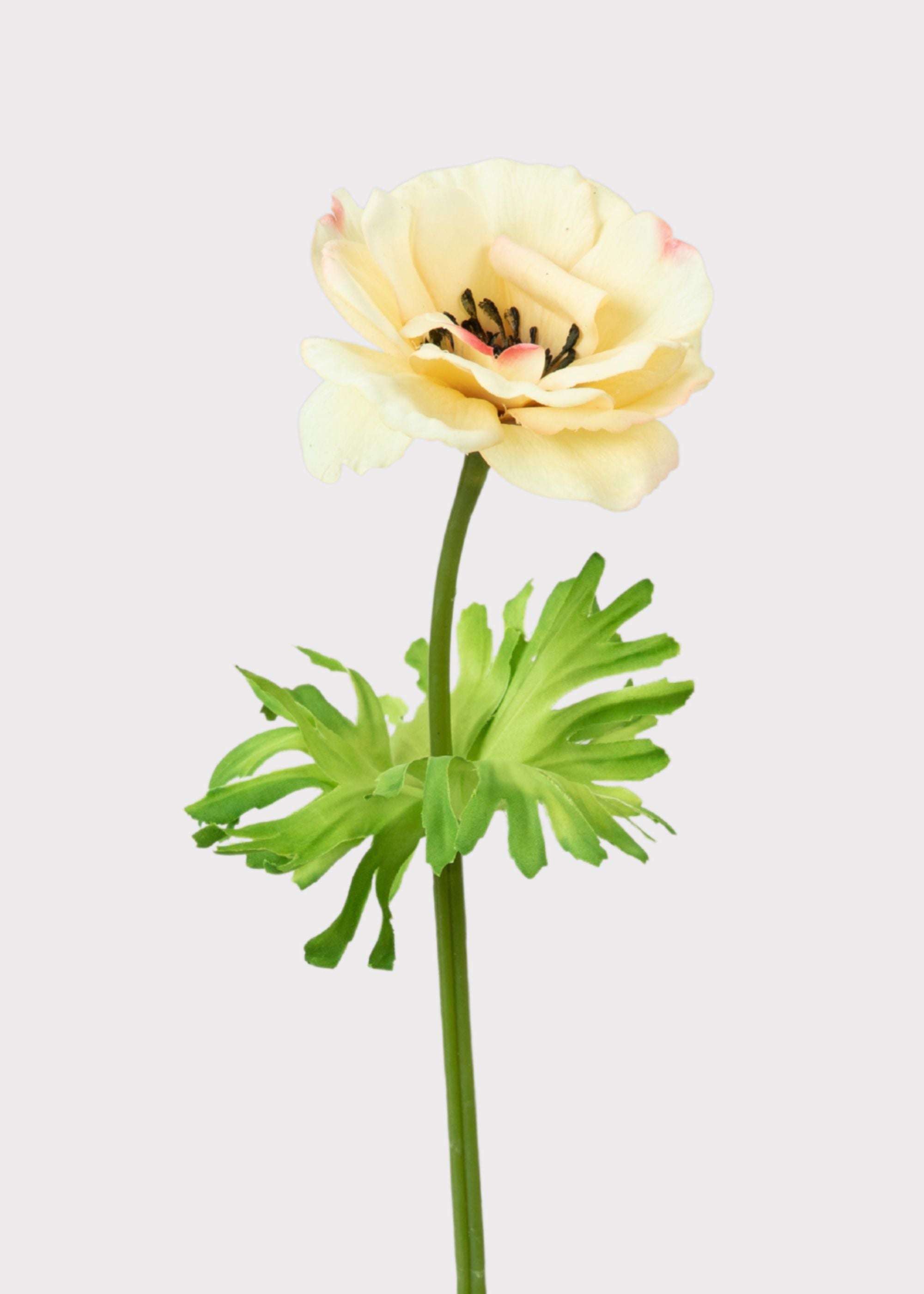 Yellow Real Touch Buttercup