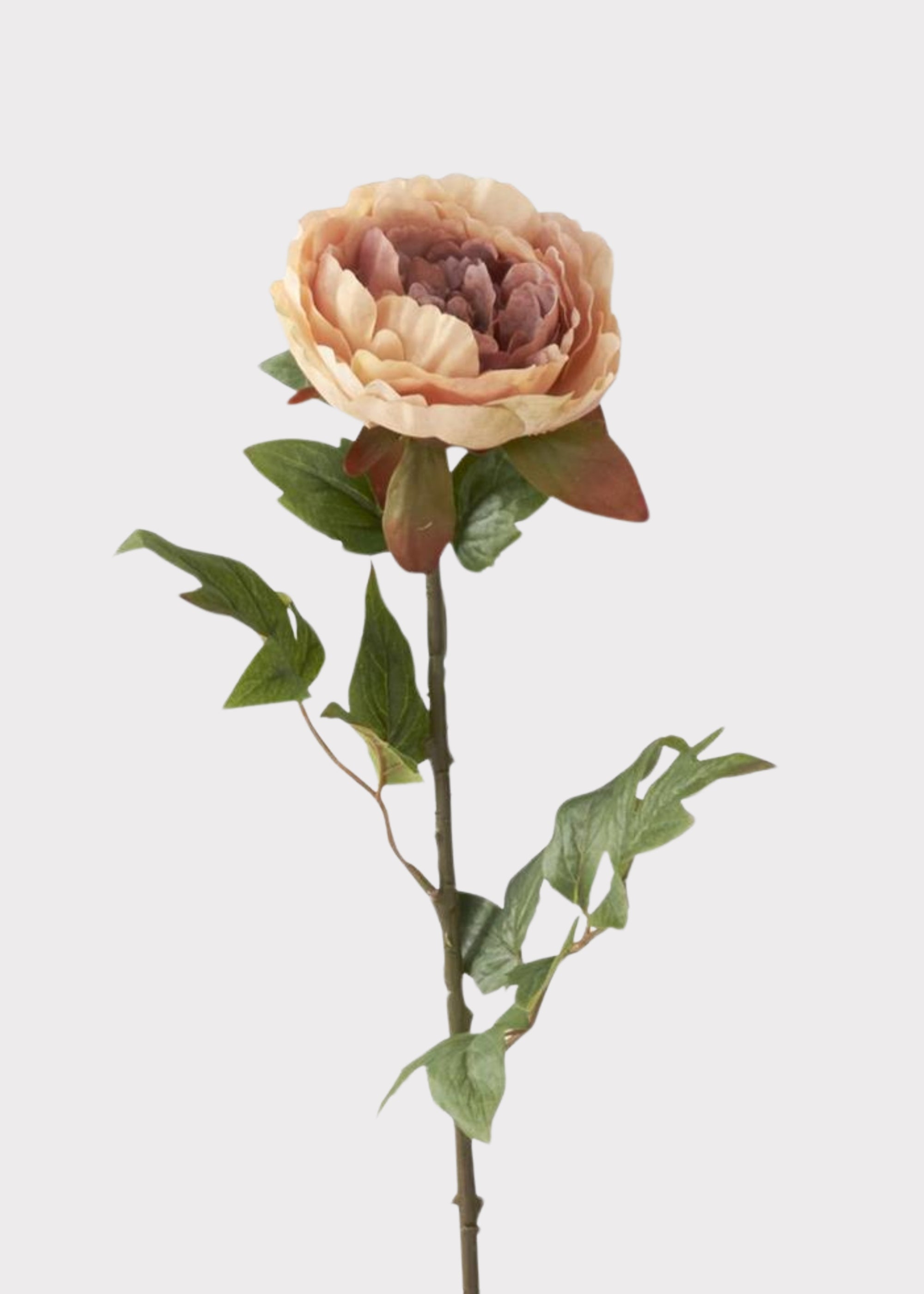 Close-up of Real Touch Peony in Mauve and Beige Cream