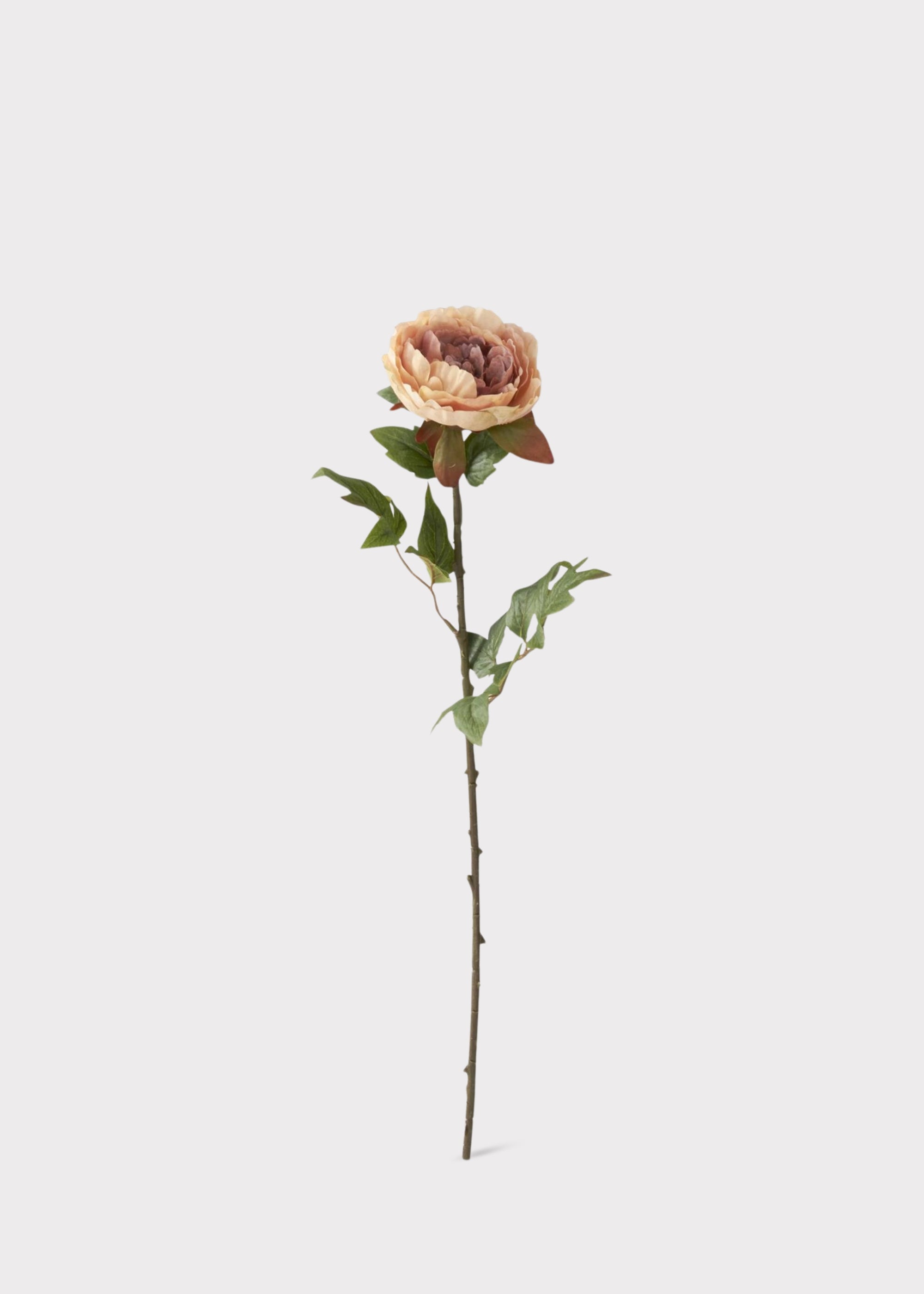Mauve and Beige Cream Real Touch Peony