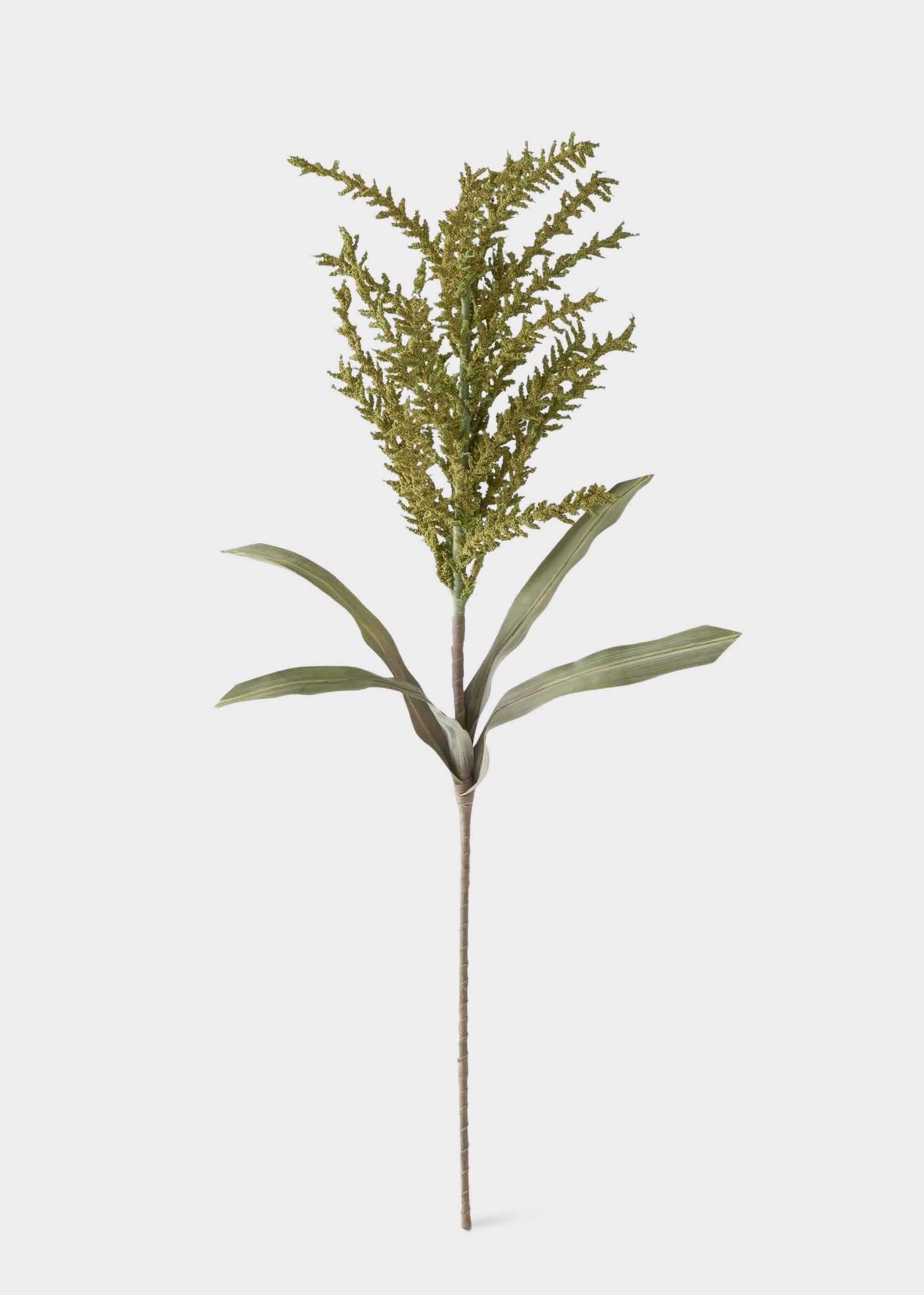 Tall Seed Berry Stem in Green