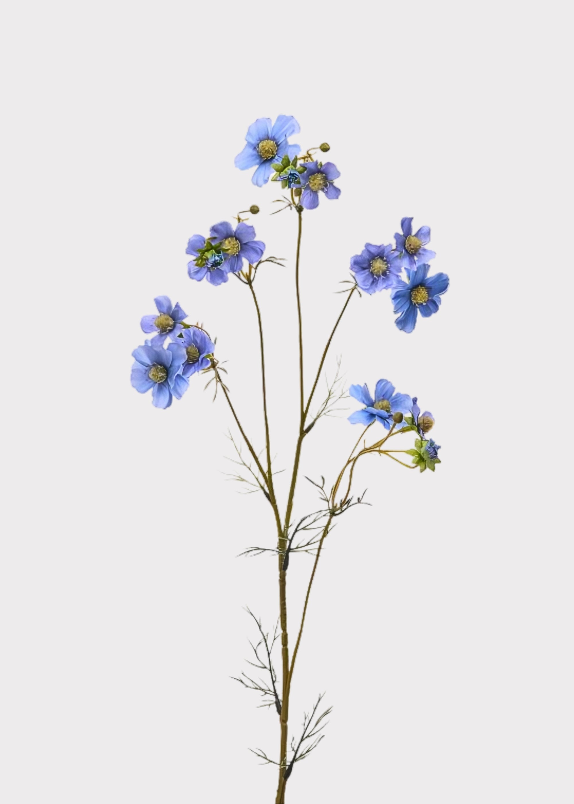 Blue Fake Cosmos Spray
