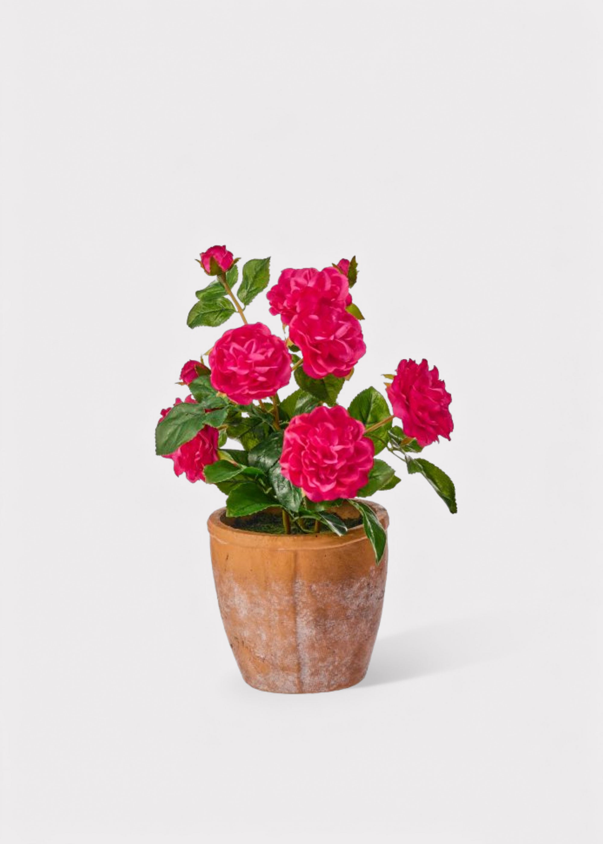 Hot Pink Faux Roses in a Clay Pot at Afloral