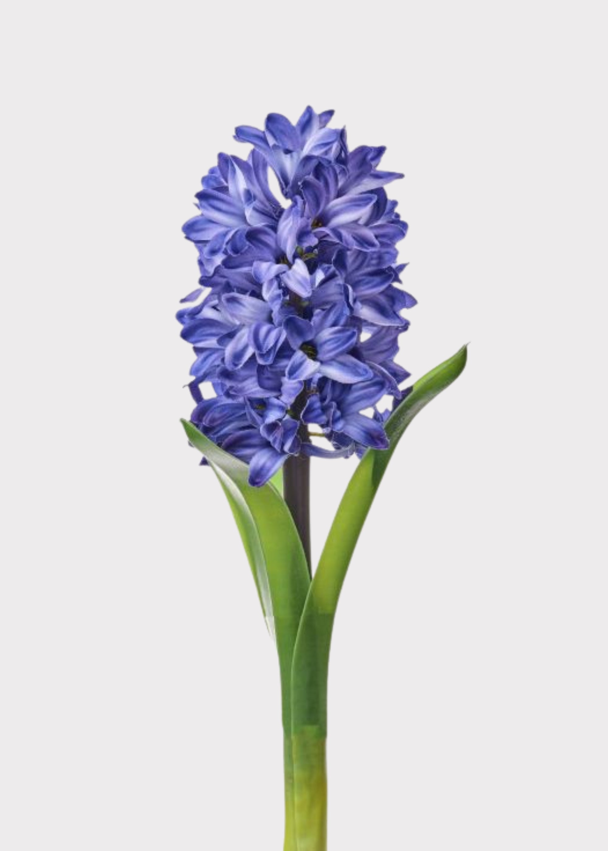 Blue Artificial Hyacinth