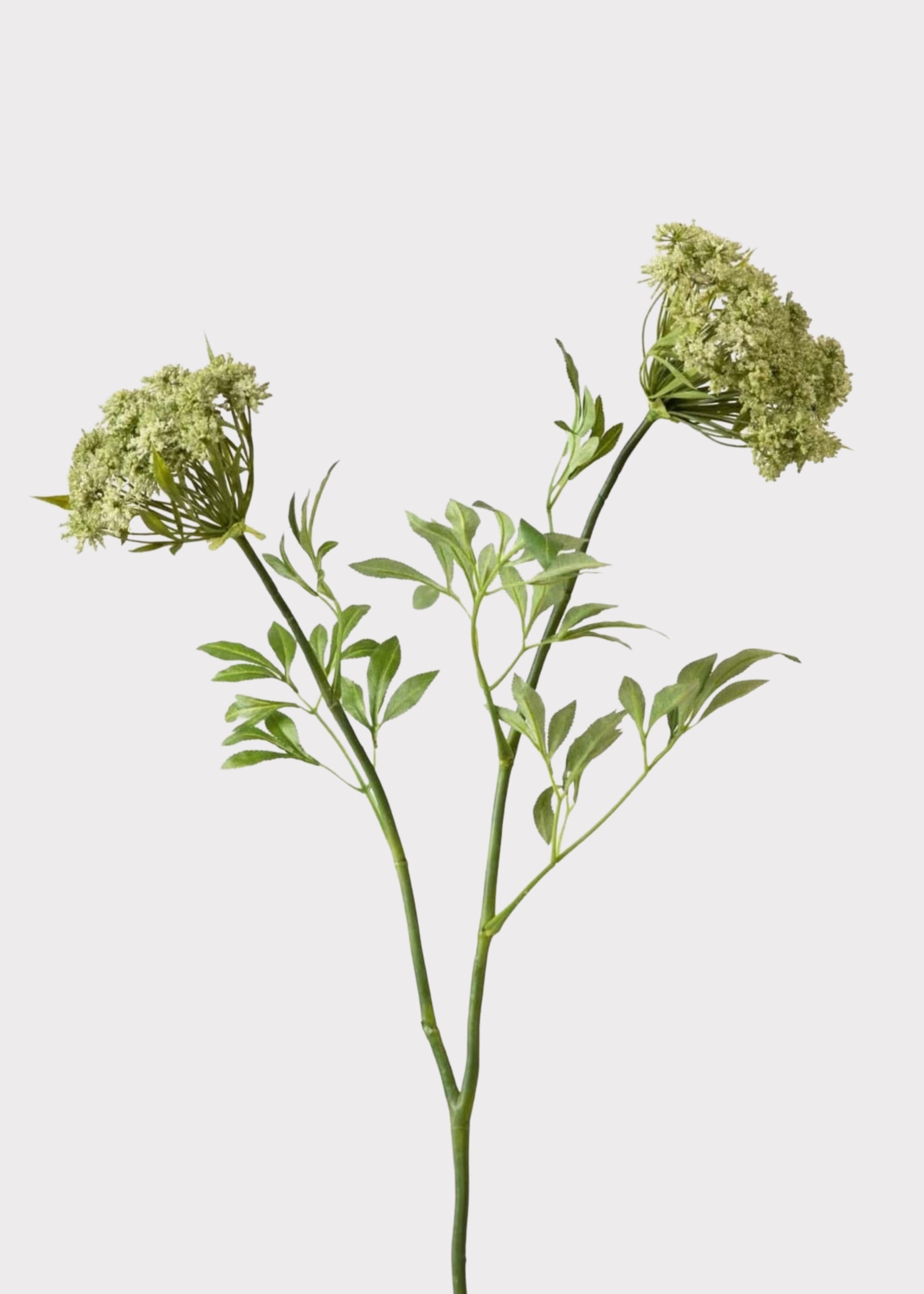 Luxury Faux Flowers Green Queen Annes Lace at Afloral