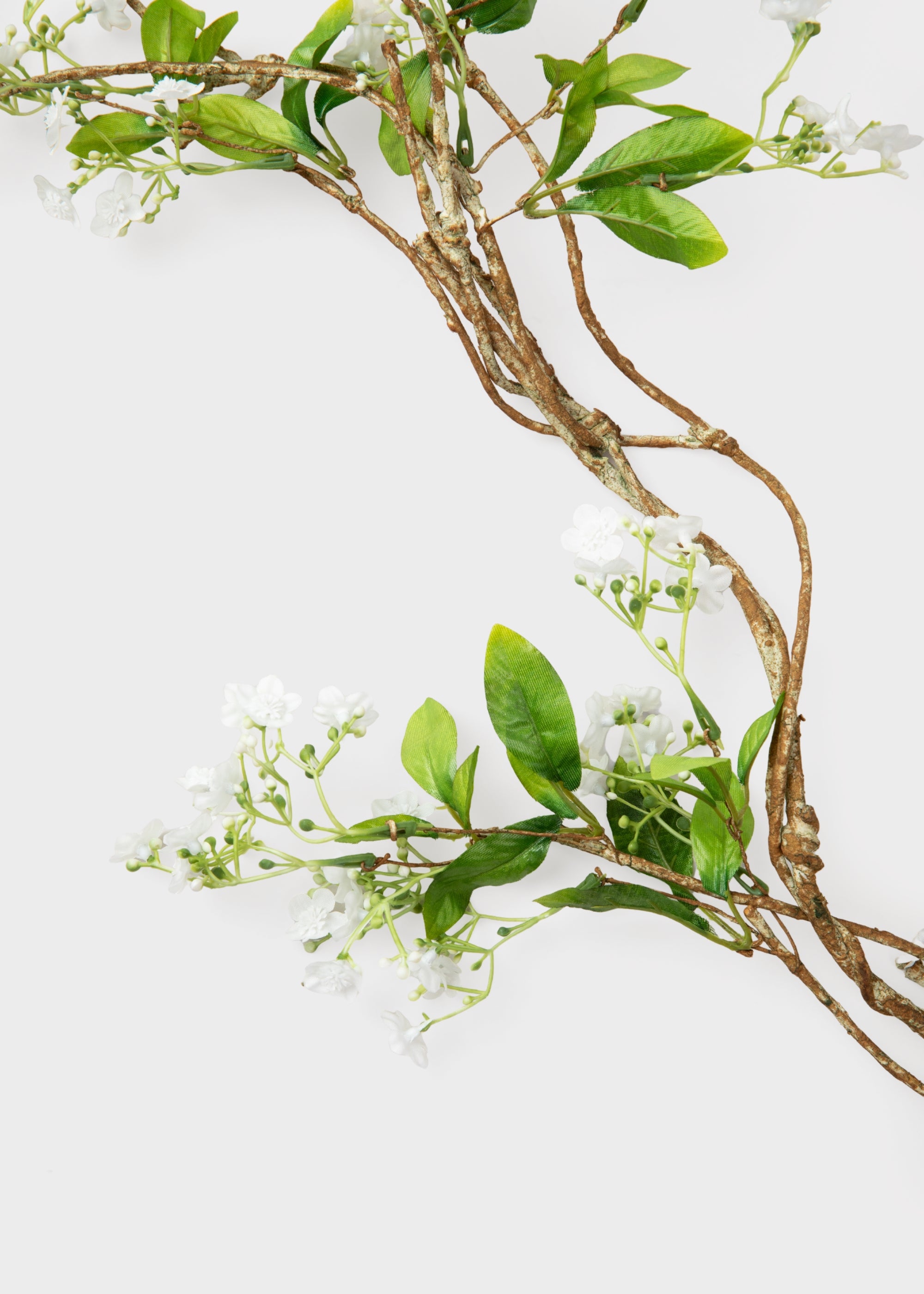 Close-up of Blooming Flower Garland