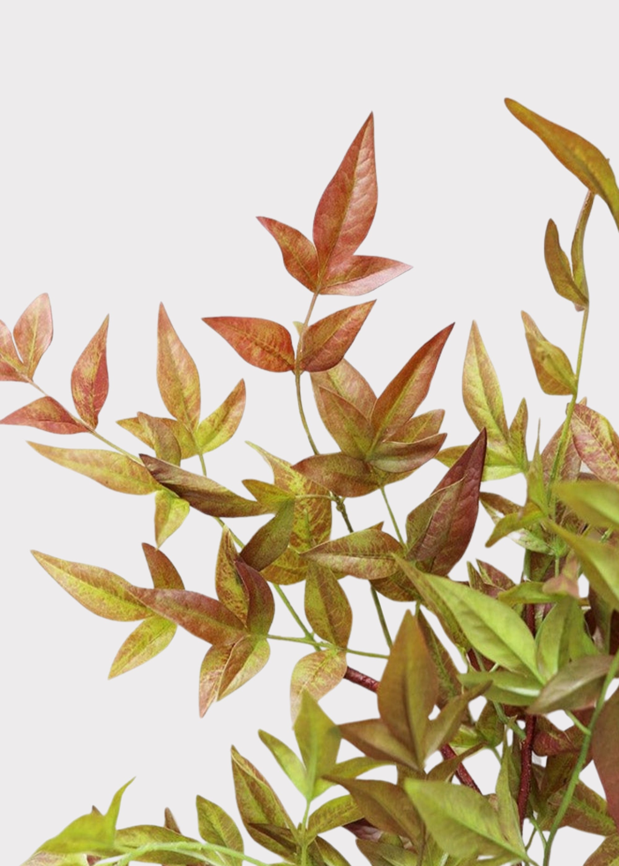 Red and Green Colored Faux Nandina Leaves Branch at Afloral