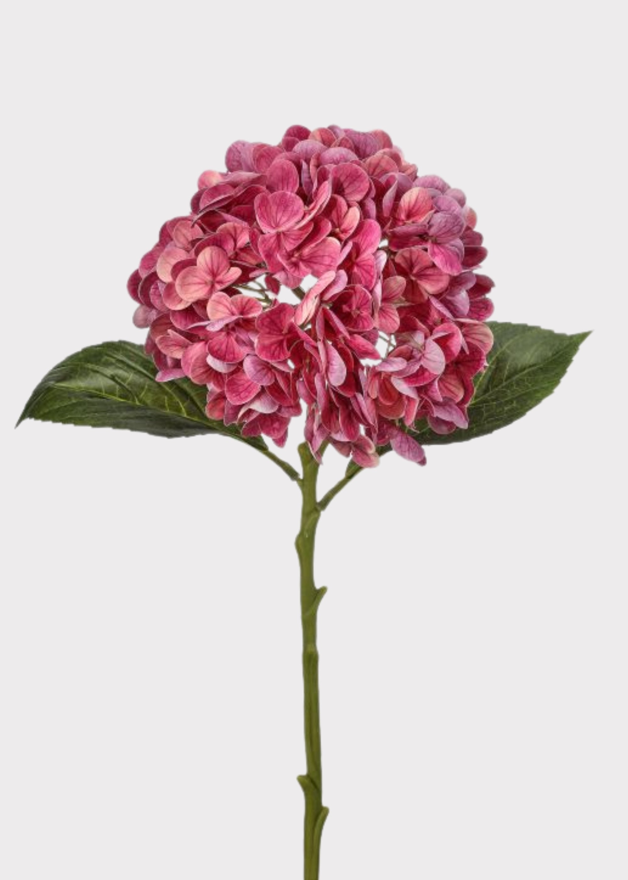 Fuchsia Pink Real Touch Hydrangea