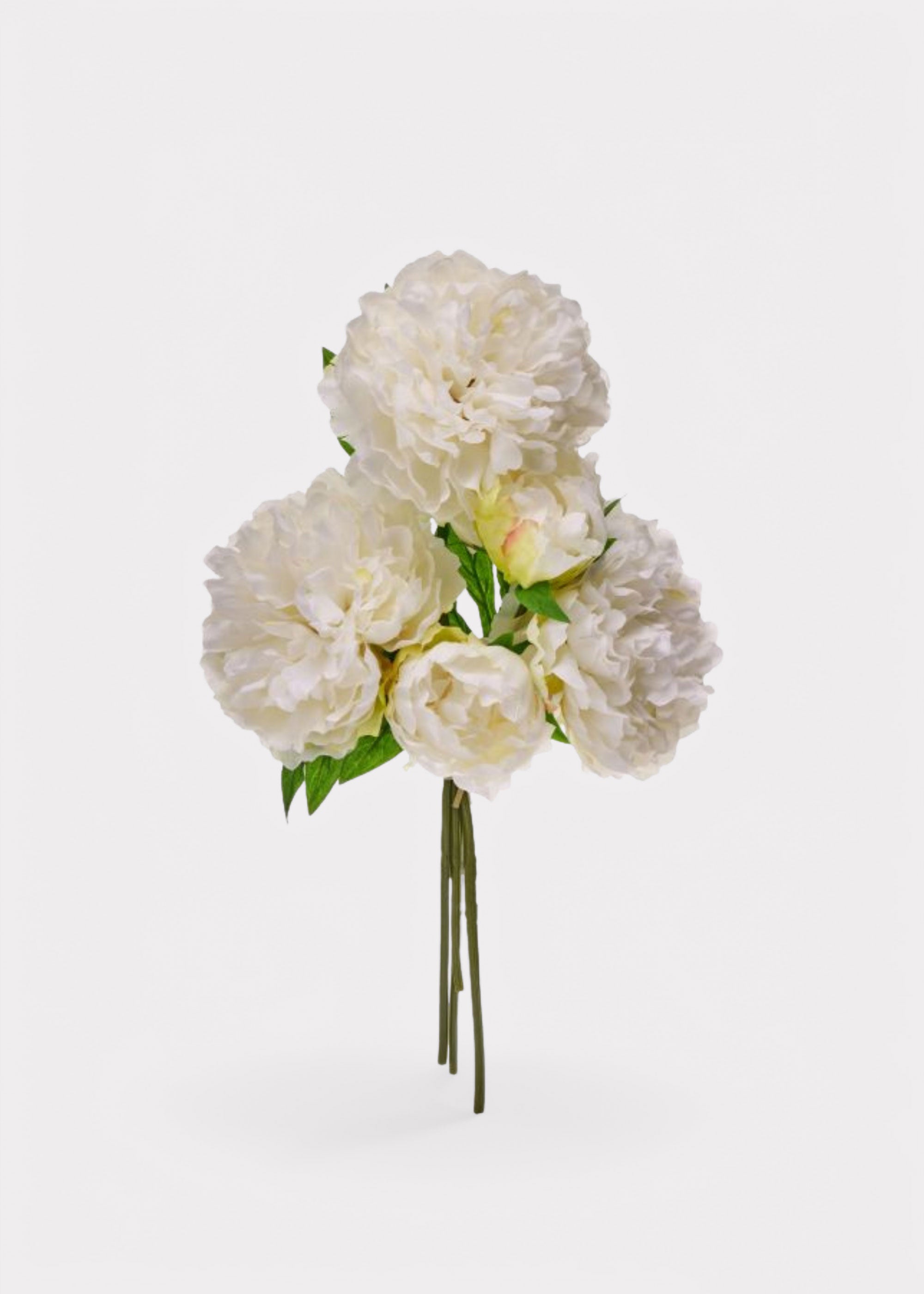 Cream White Peony Bundle