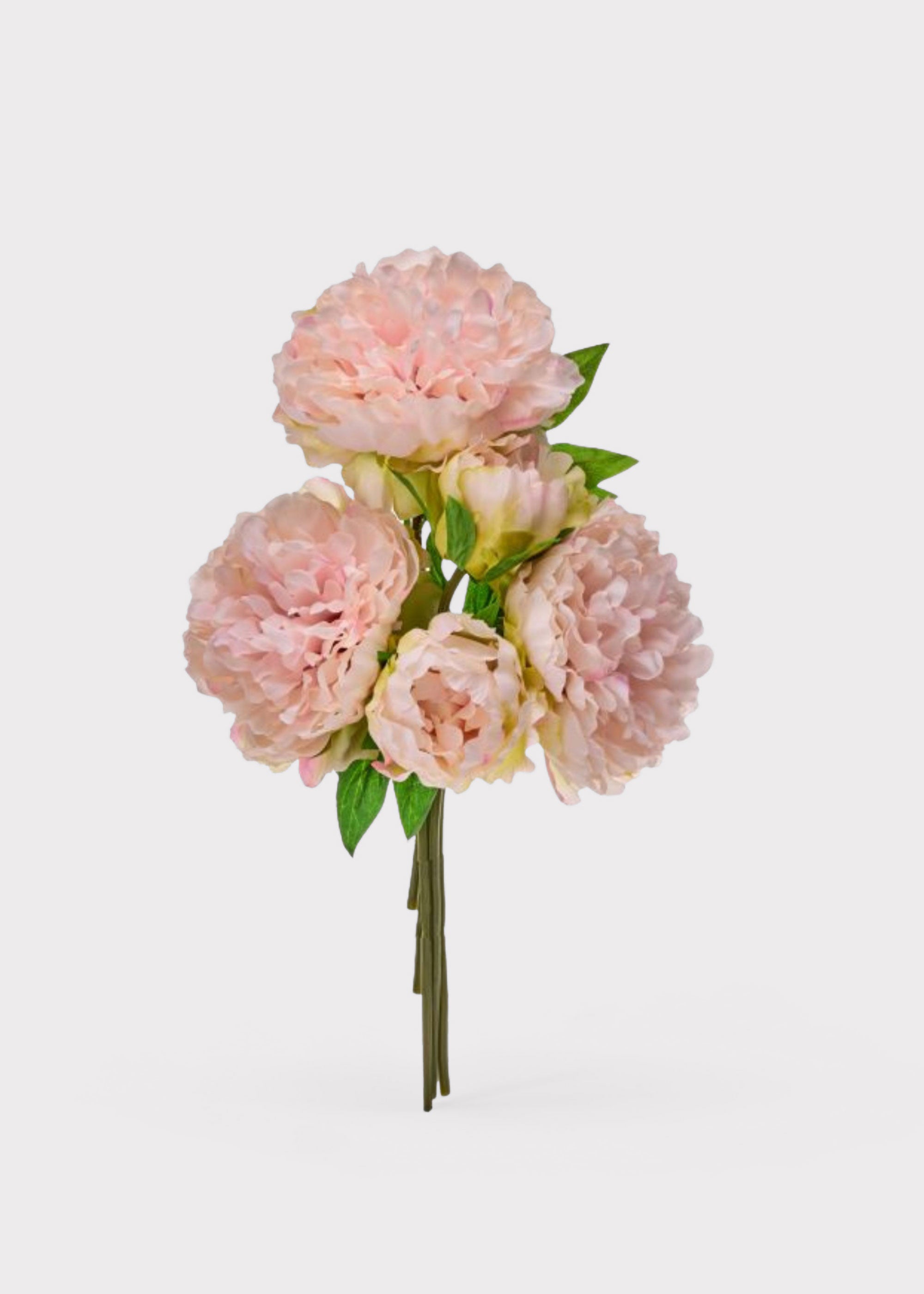 Pink Peony Bundle