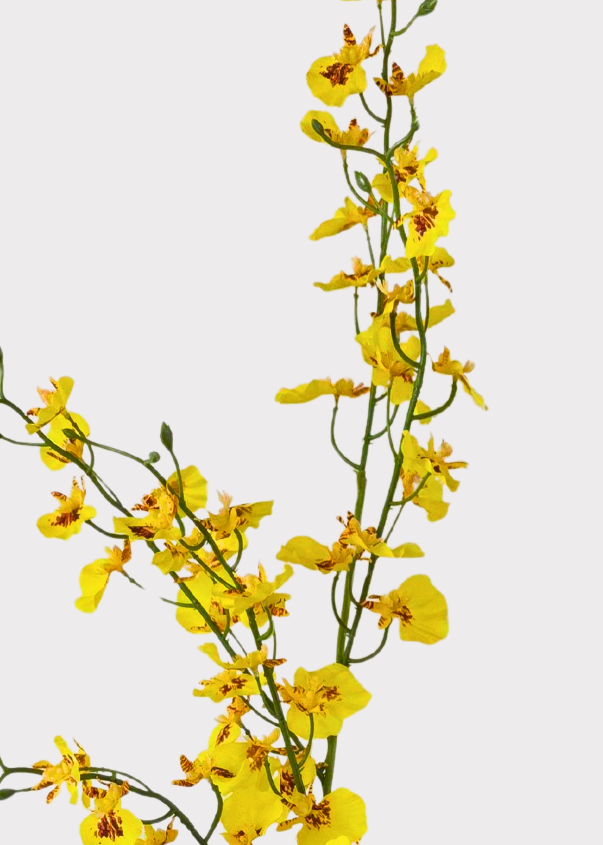 Close-up of faux yellow orchid