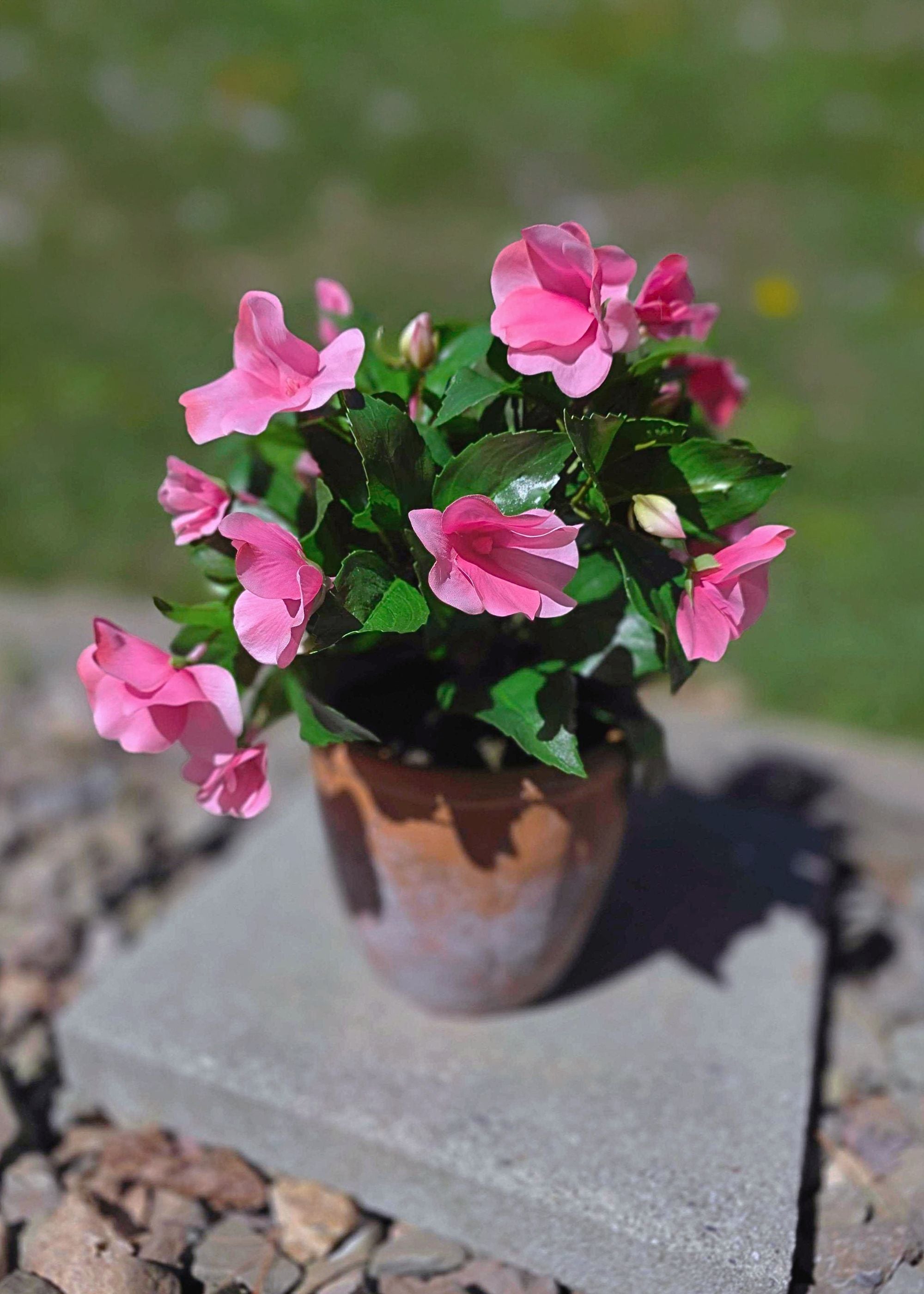 Pink artificial impatiens
