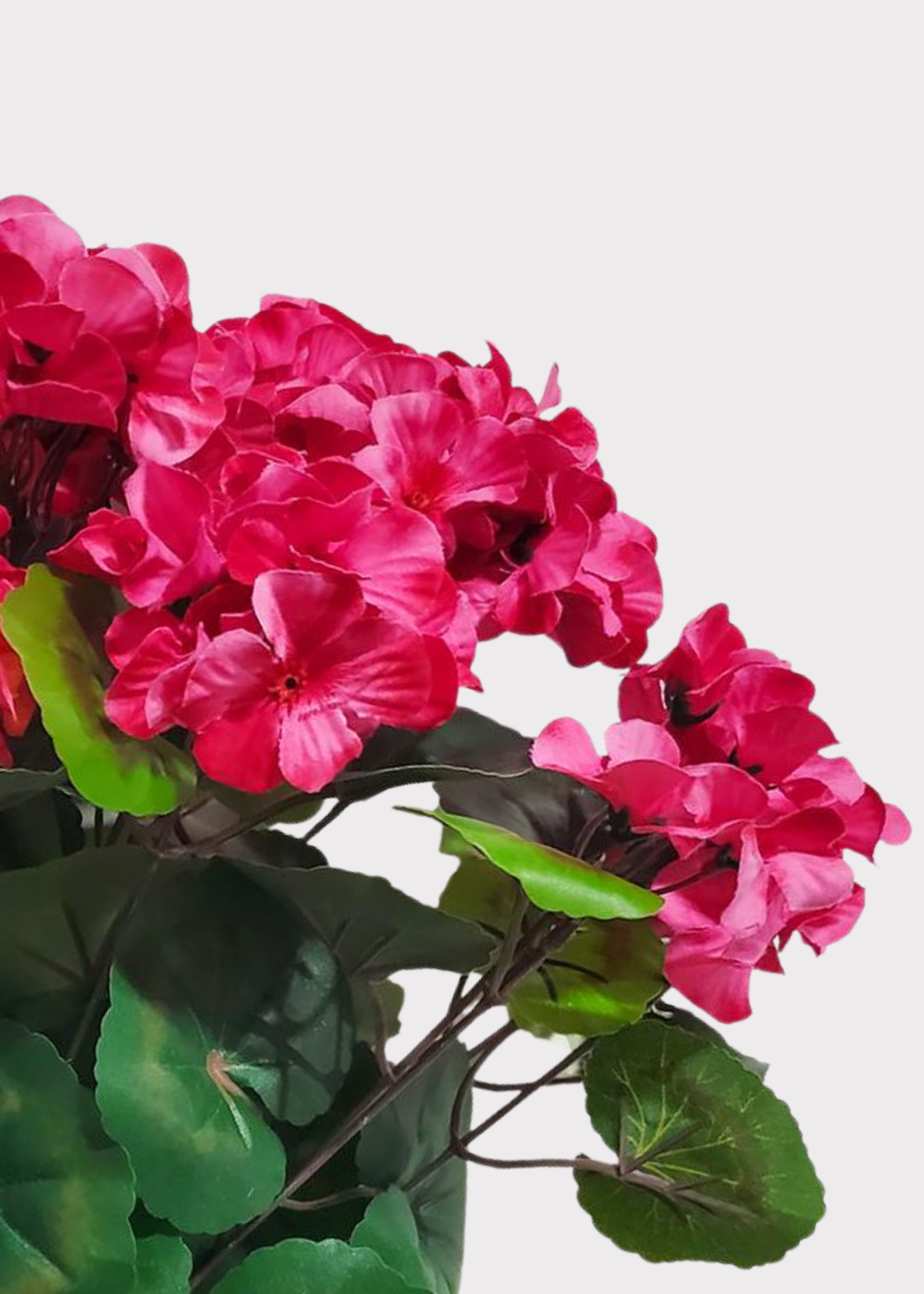 Pink Fuchsia Fake Geraniums