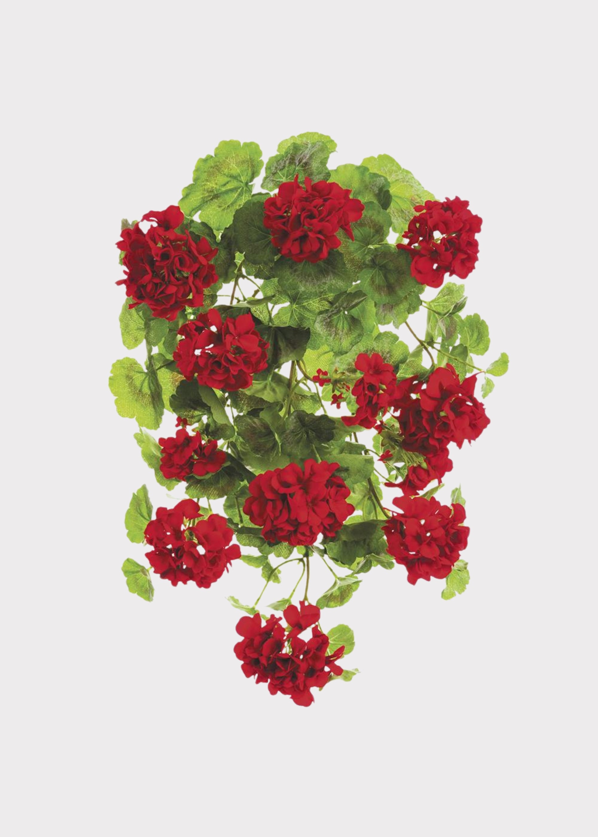 Red Hanging Fake Geranium