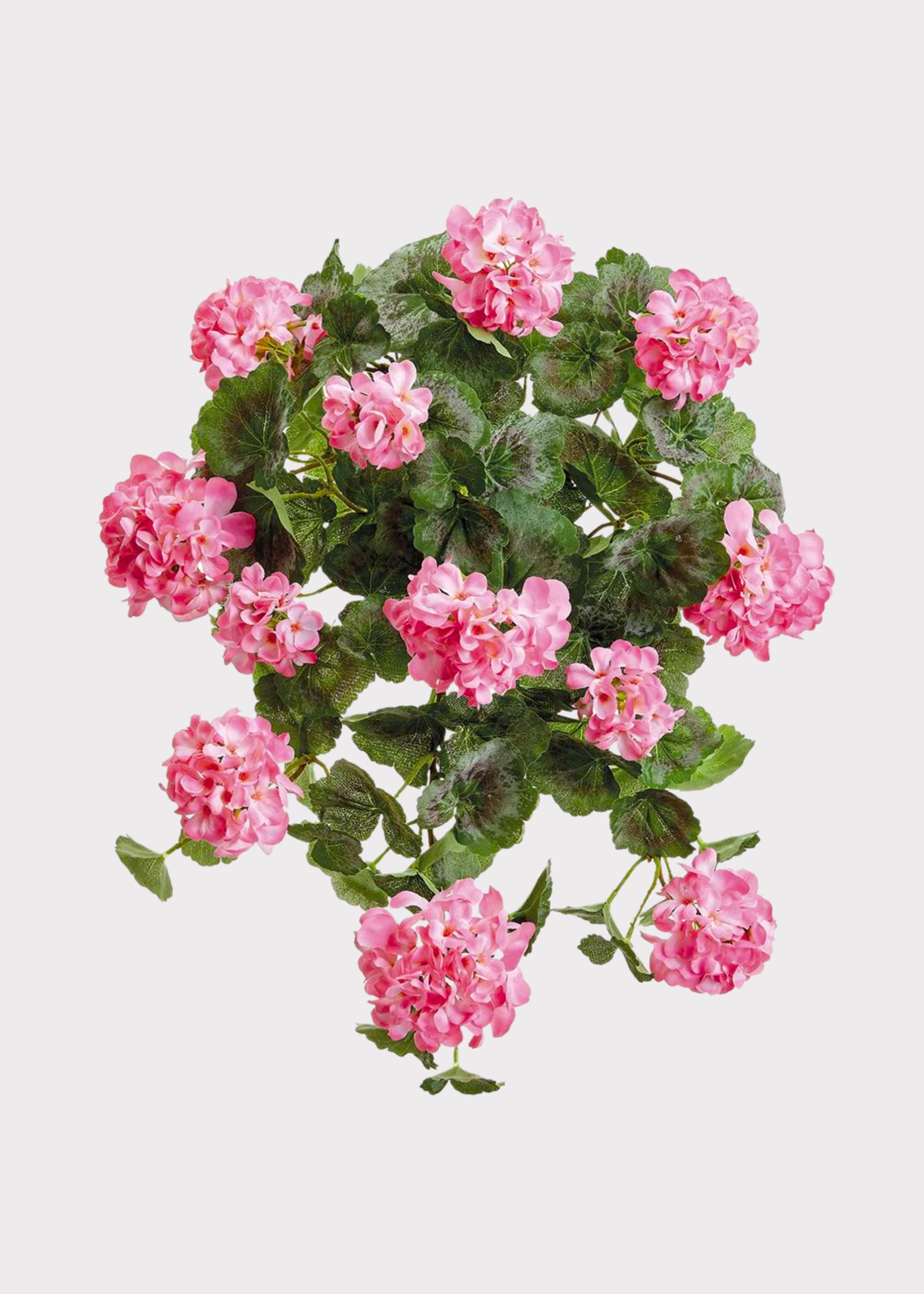Pink Hanging Fake Geranium