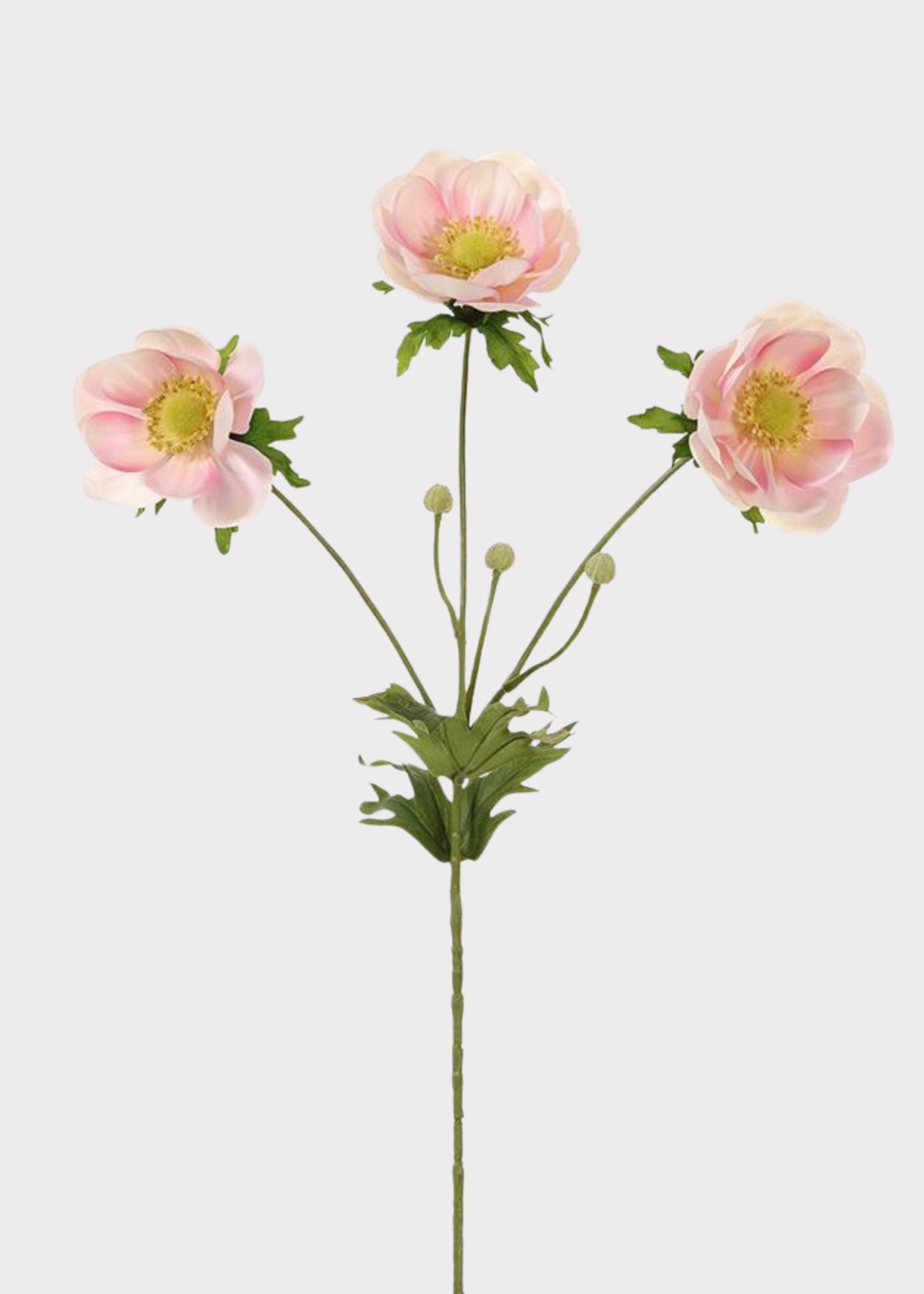 Fake Wild Anemone Flowers in Pink Cream