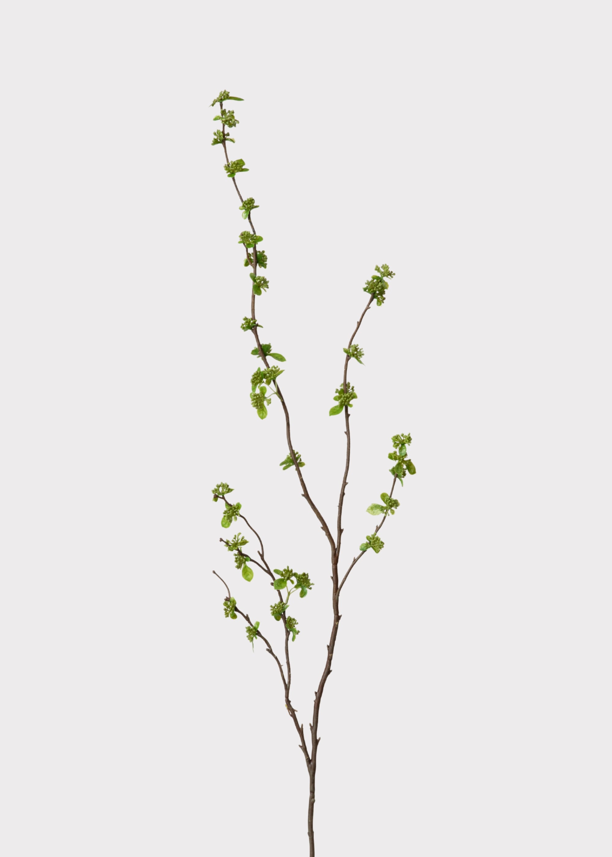 Artificial Budding Branches in Green Afloral Bud Branch