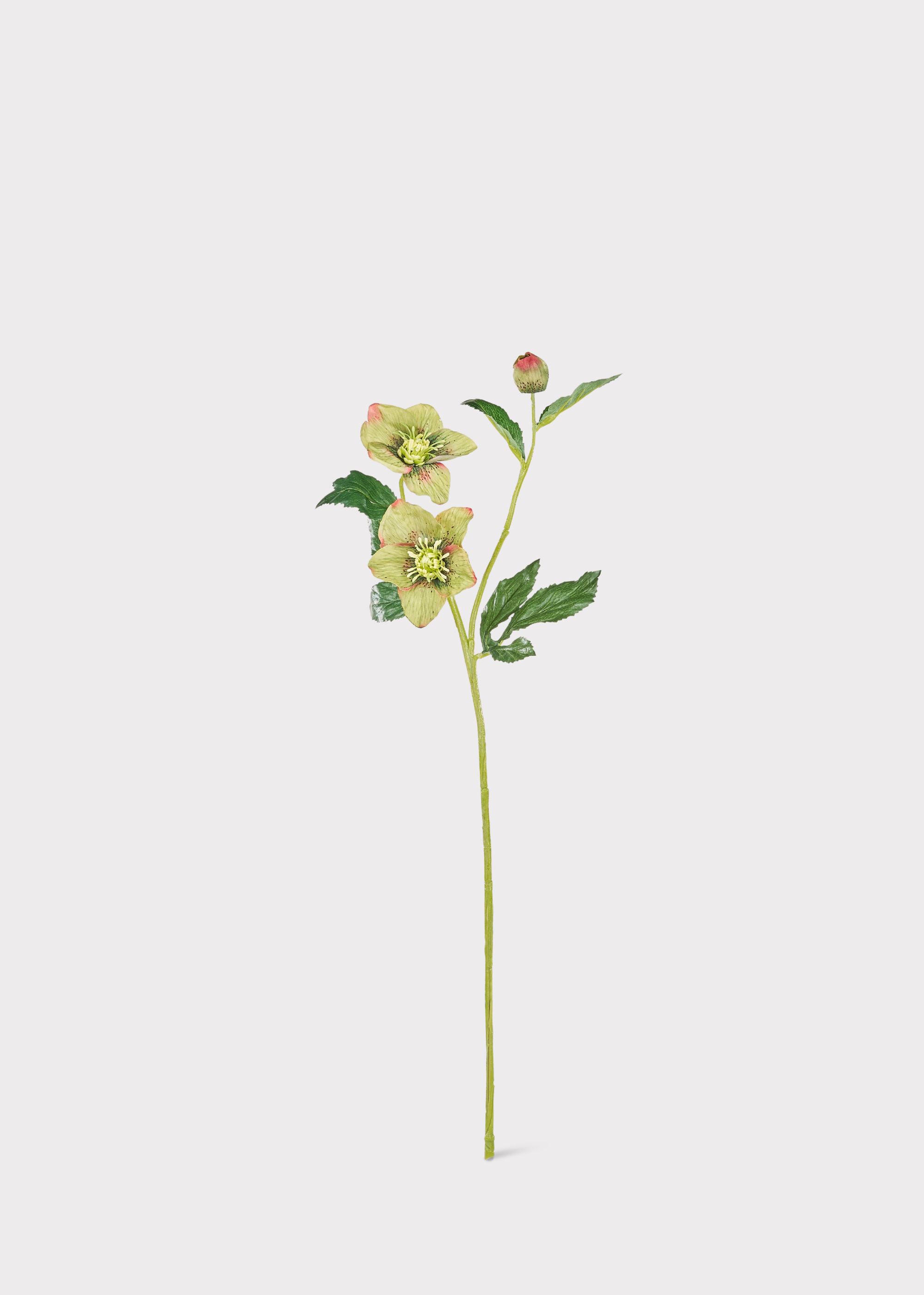 Artificial Helleborus in Green Burgundy